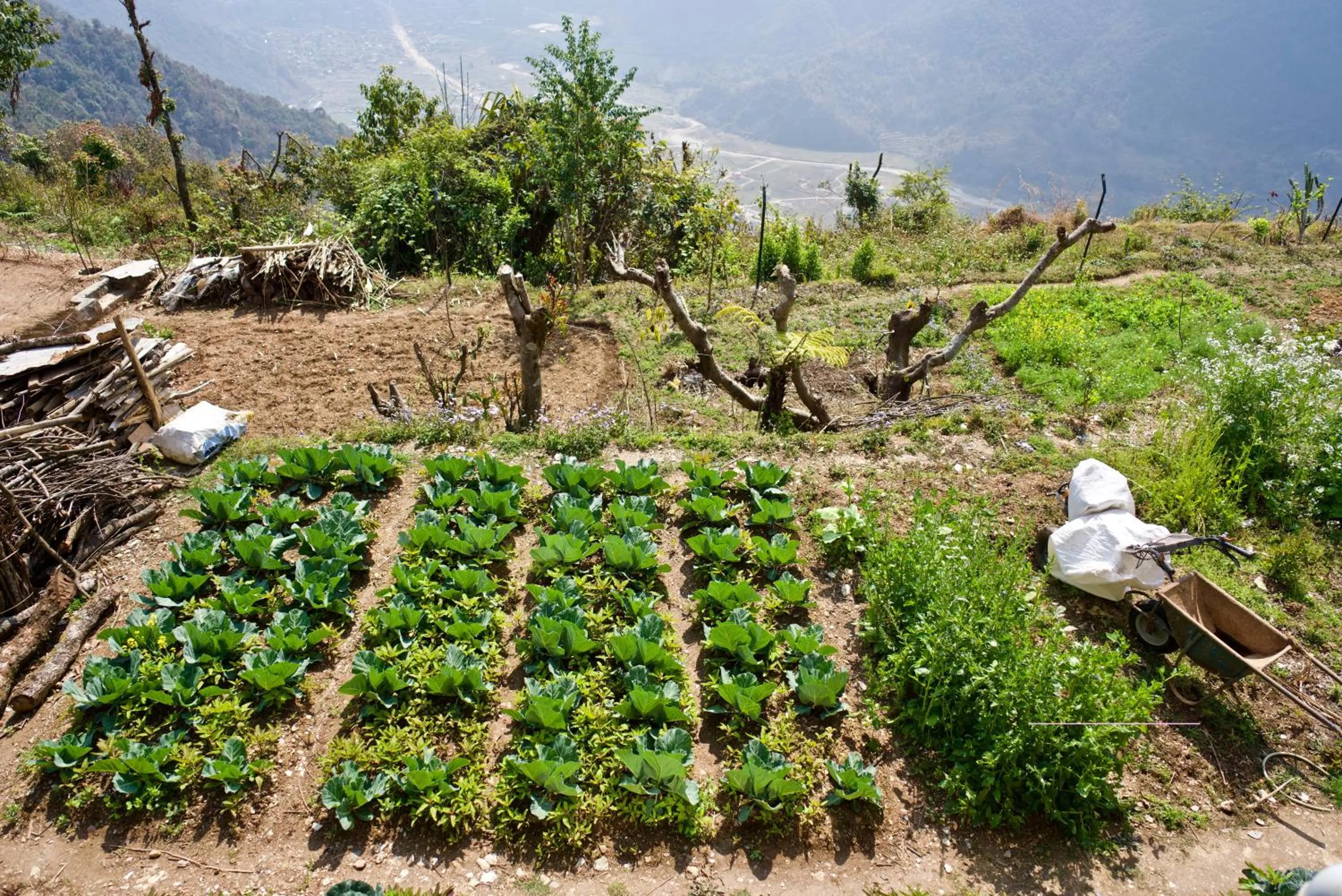 Garden in Annapurna Eco Village