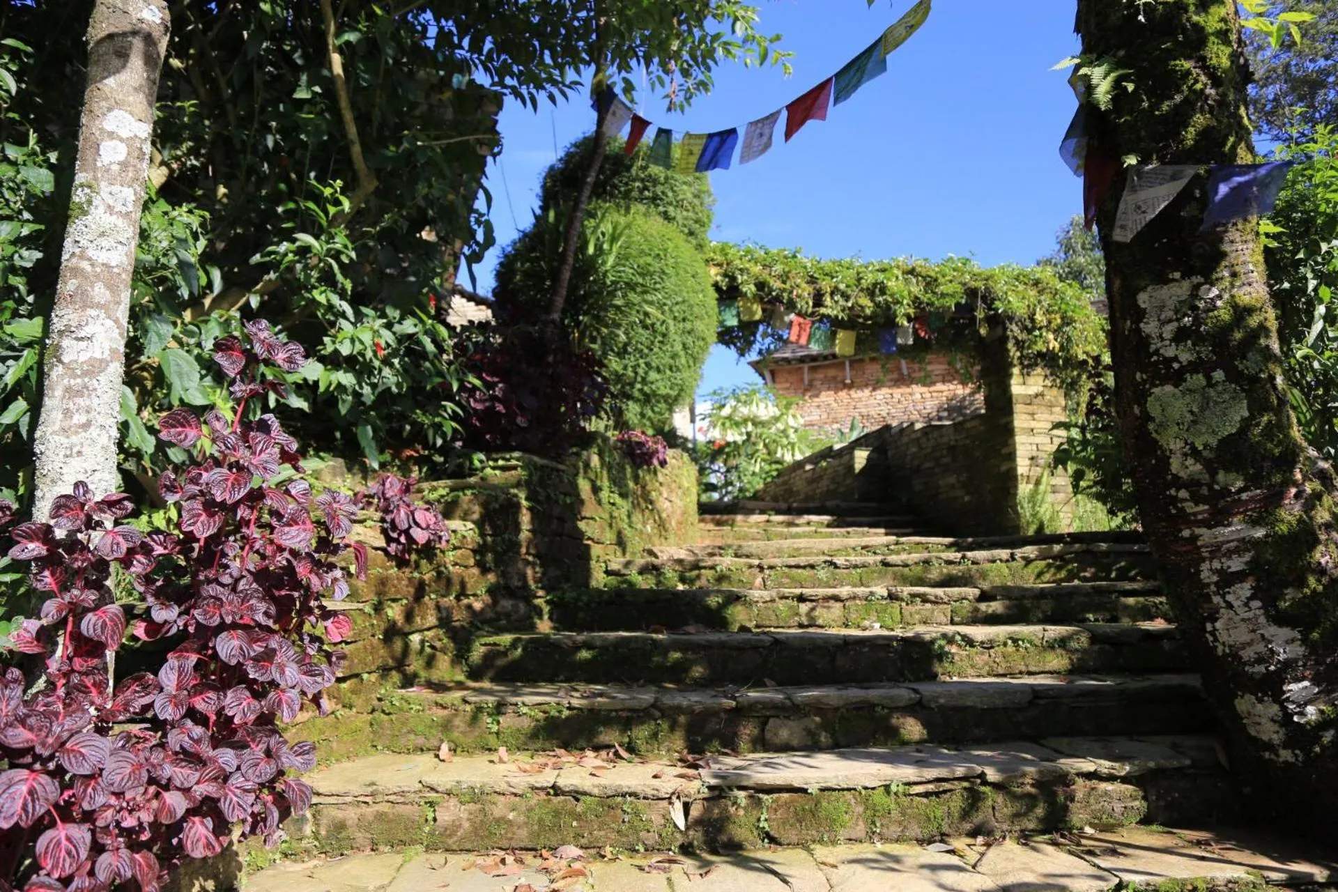 Facade/entrance in Annapurna Eco Village