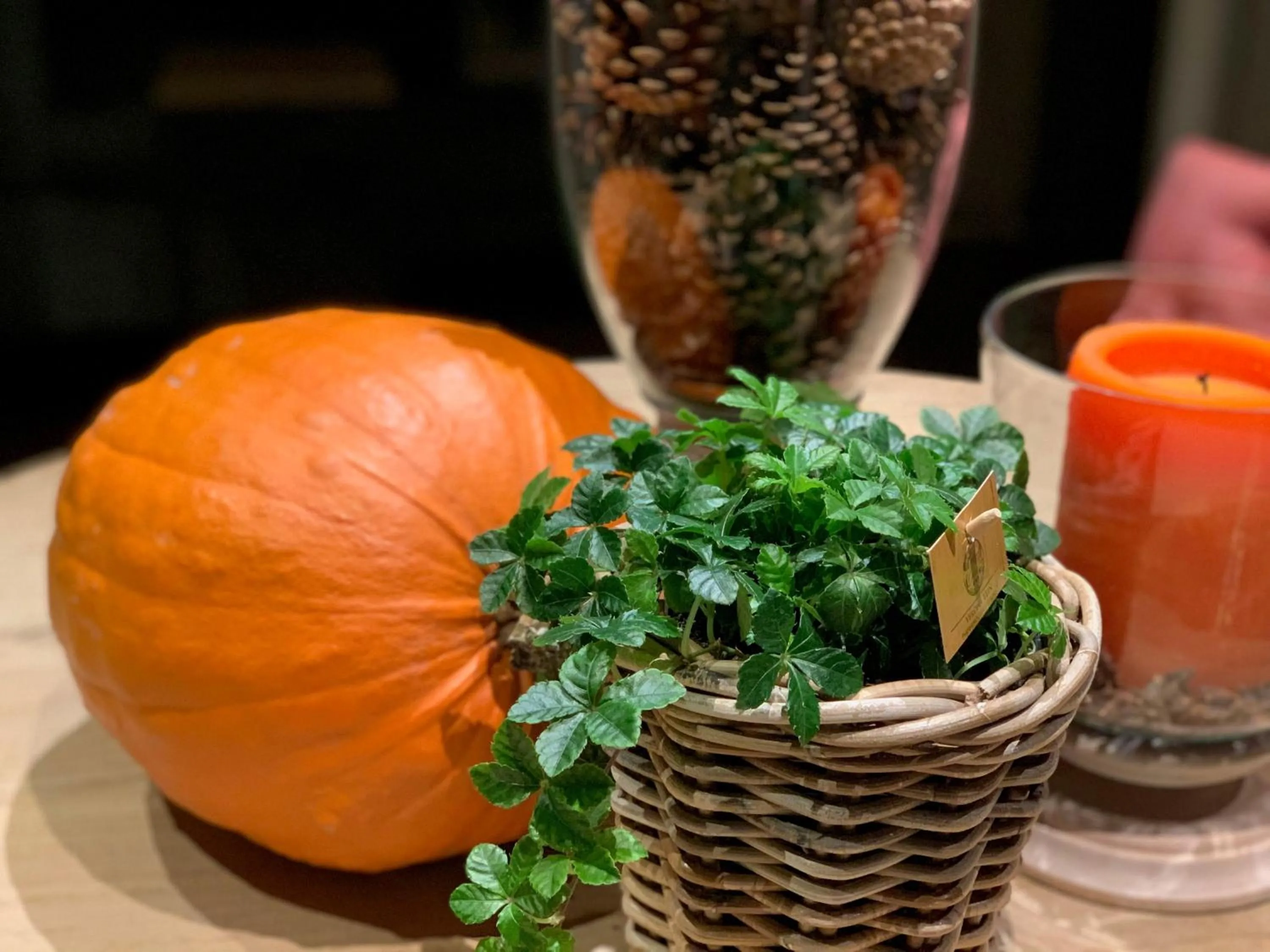 Autumn in B&B d'Oude Brouwerij