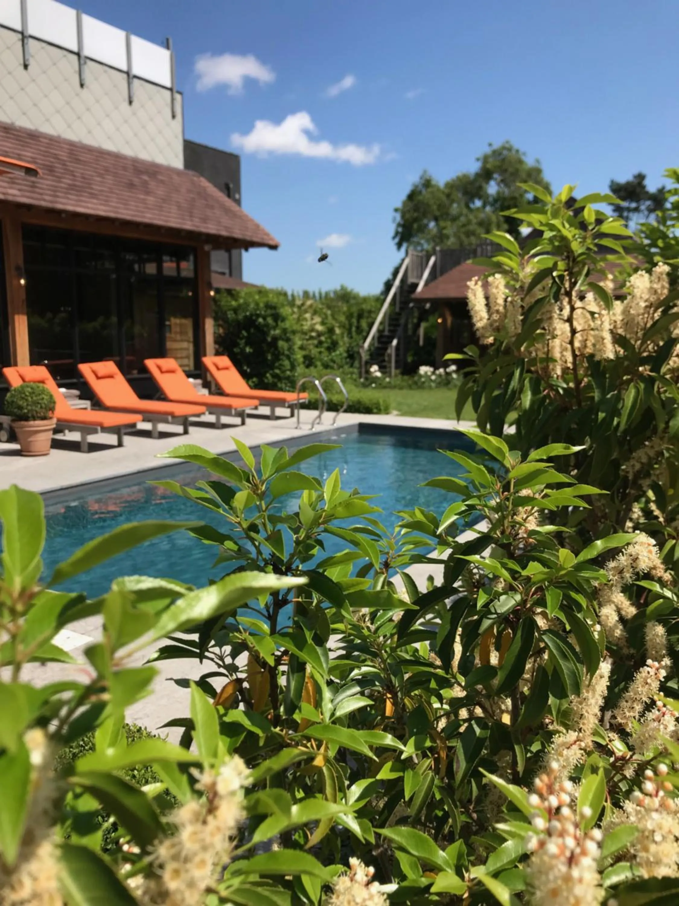 Pool view in B&B d'Oude Brouwerij