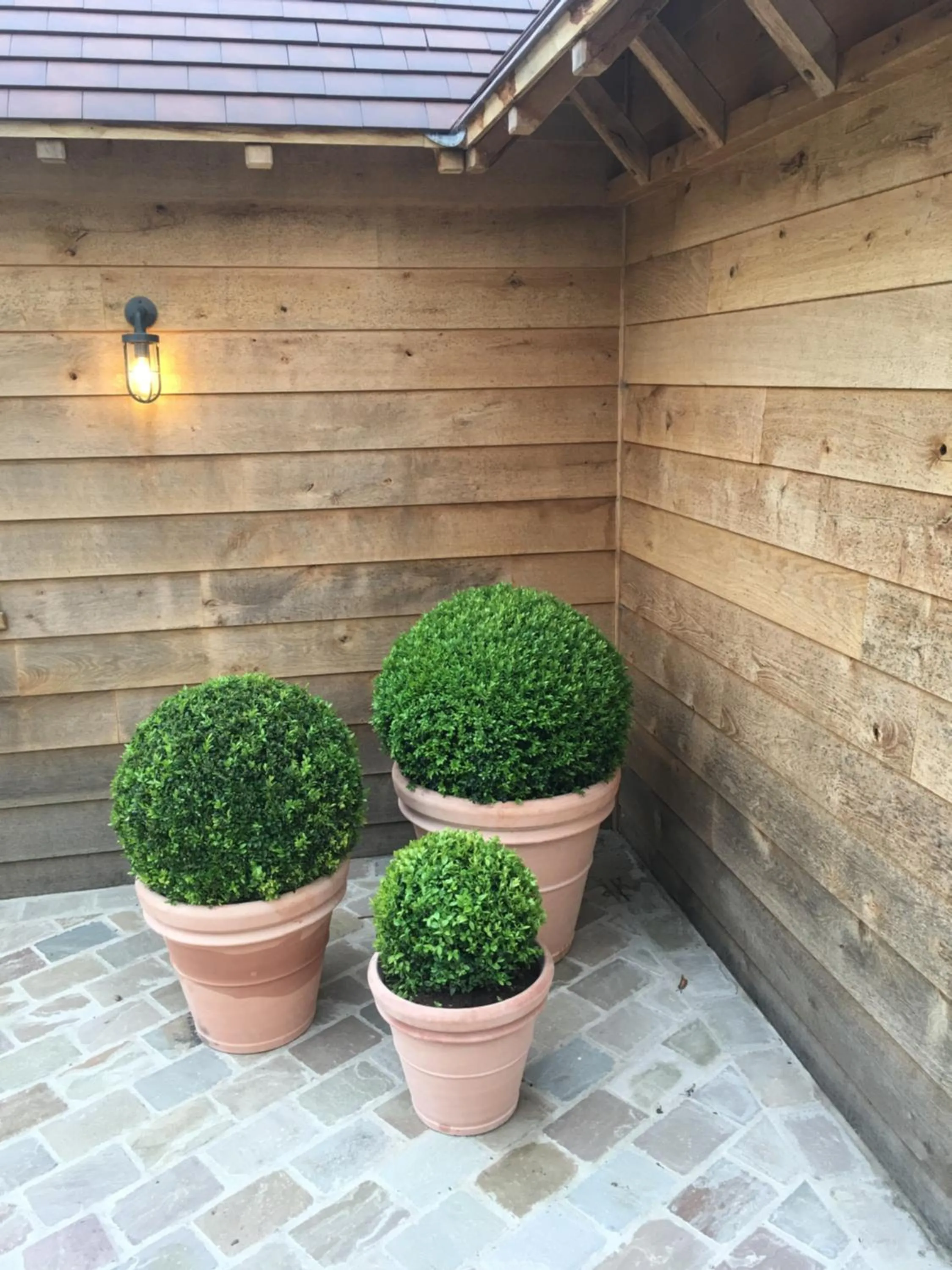 Other in B&B d'Oude Brouwerij