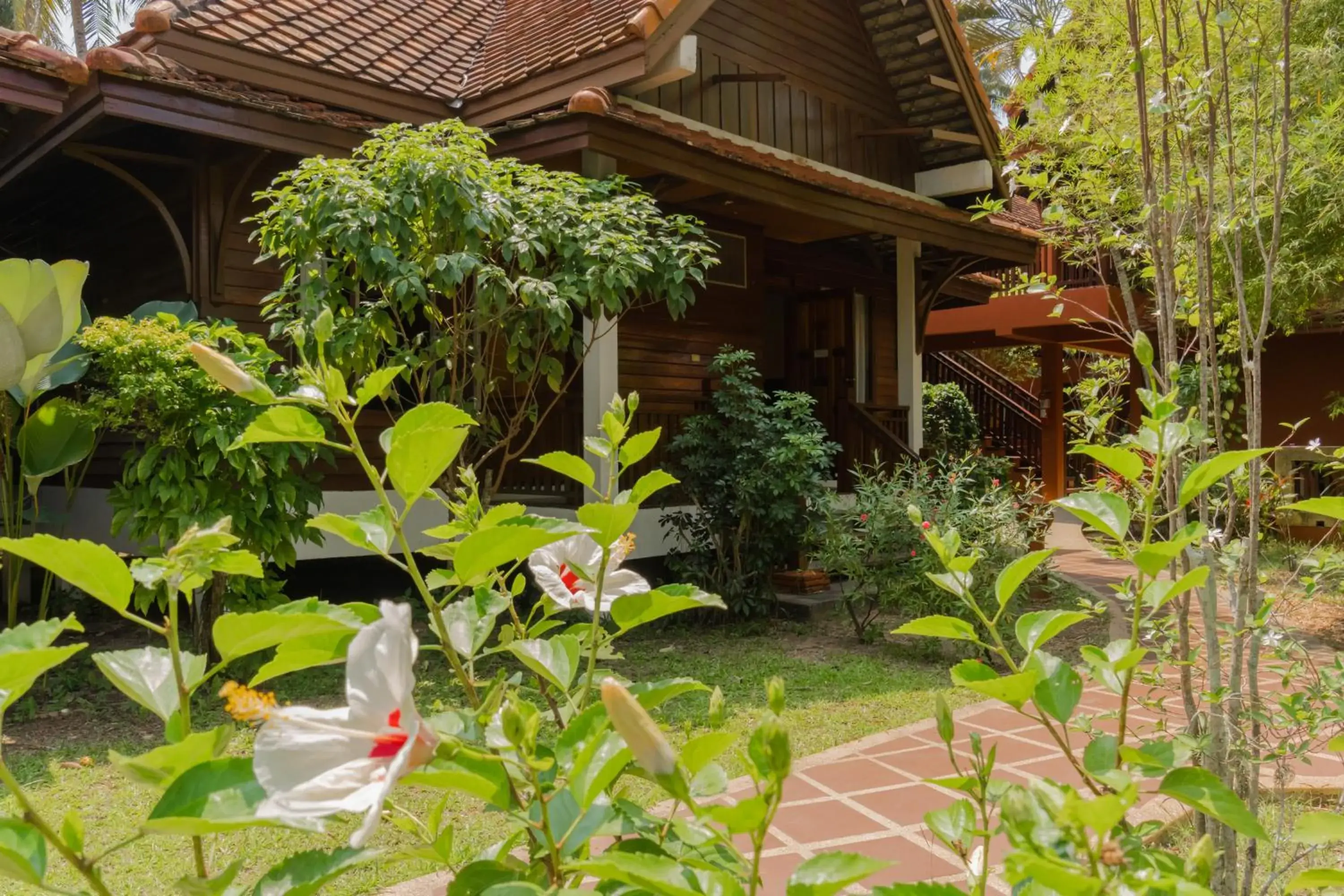 Garden view in Coral Hotel Bangsaphan Garden view in Coral Hotel Bangsaphan