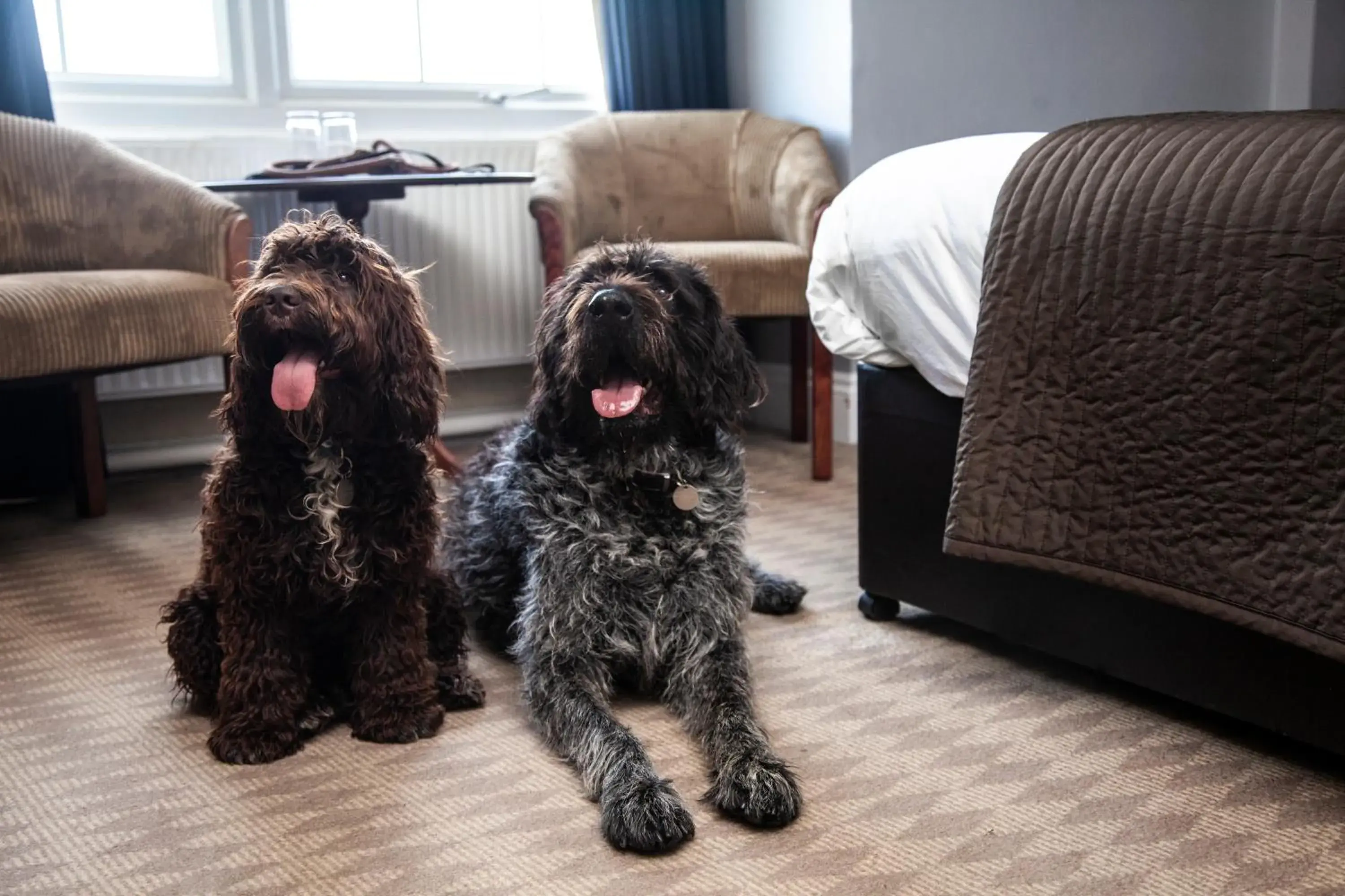 Bedroom in Balmer Lawn Bedroom in Balmer Lawn
