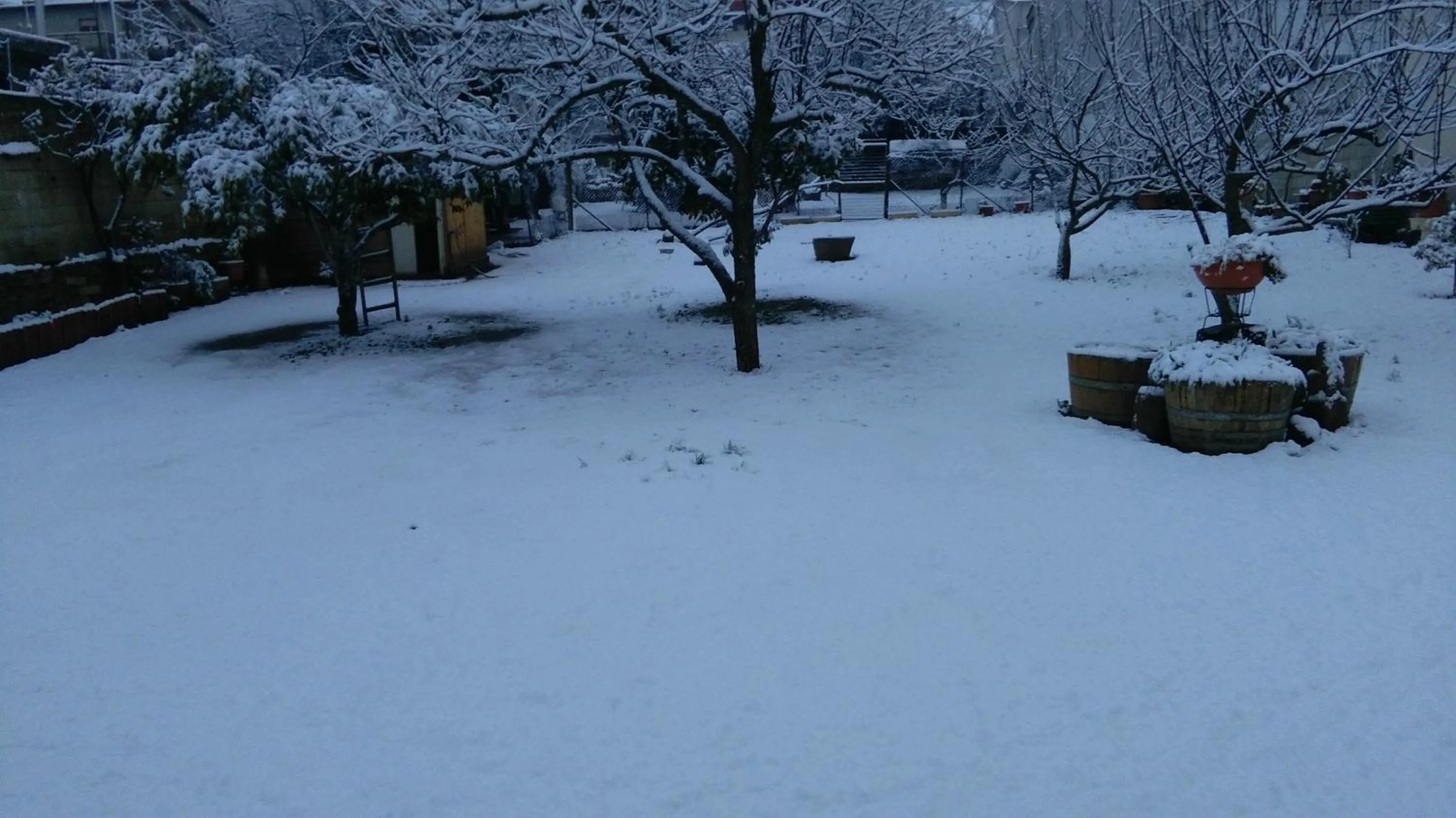 Garden in Zia Chiarina