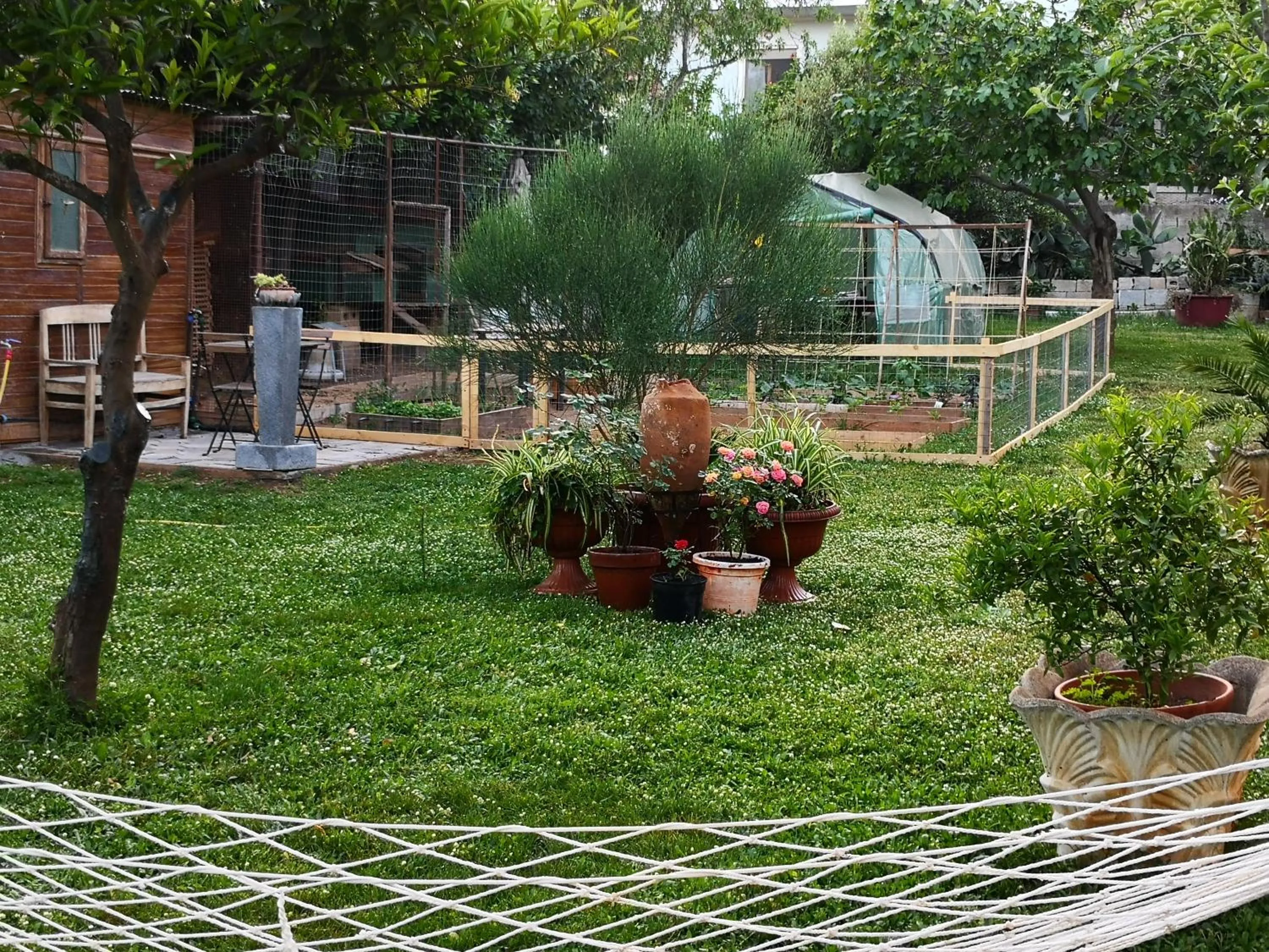 Garden in Zia Chiarina