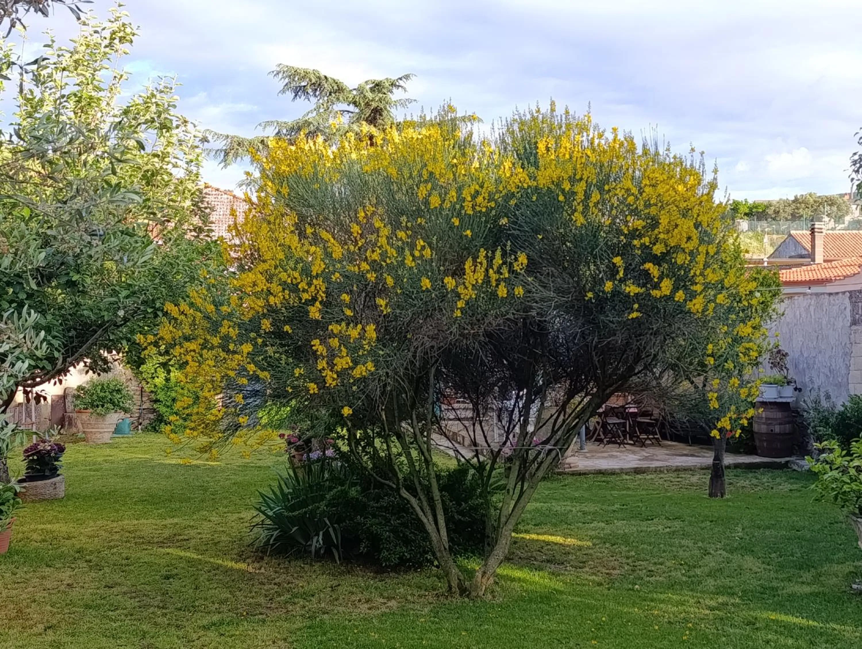 Garden view in Zia Chiarina
