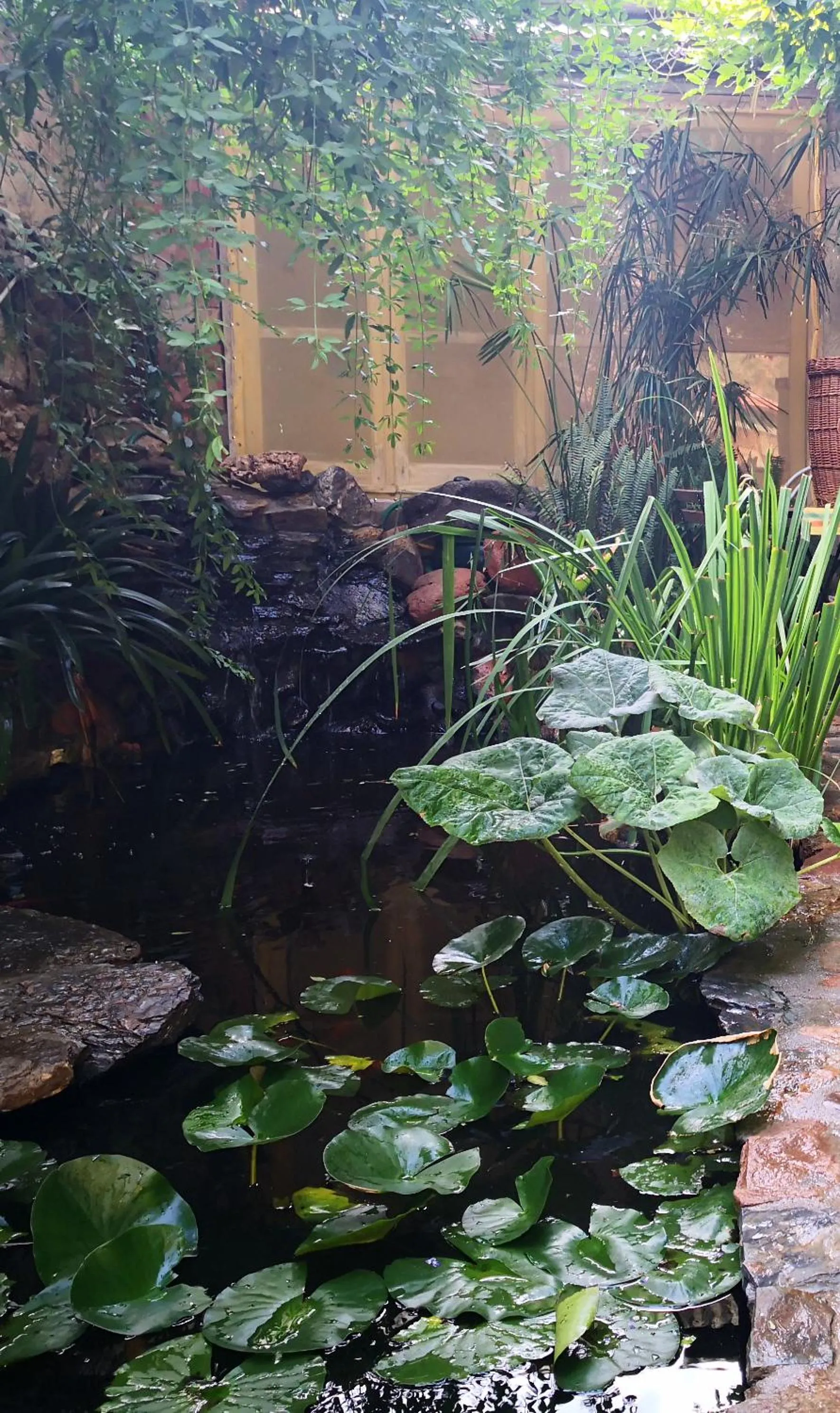 Garden view in Zia Chiarina