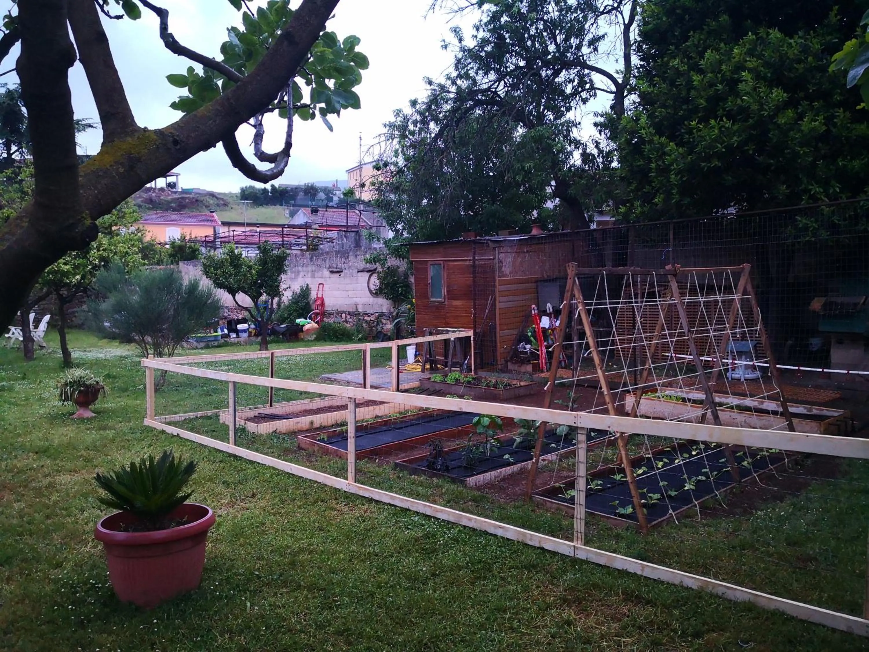 Garden in Zia Chiarina