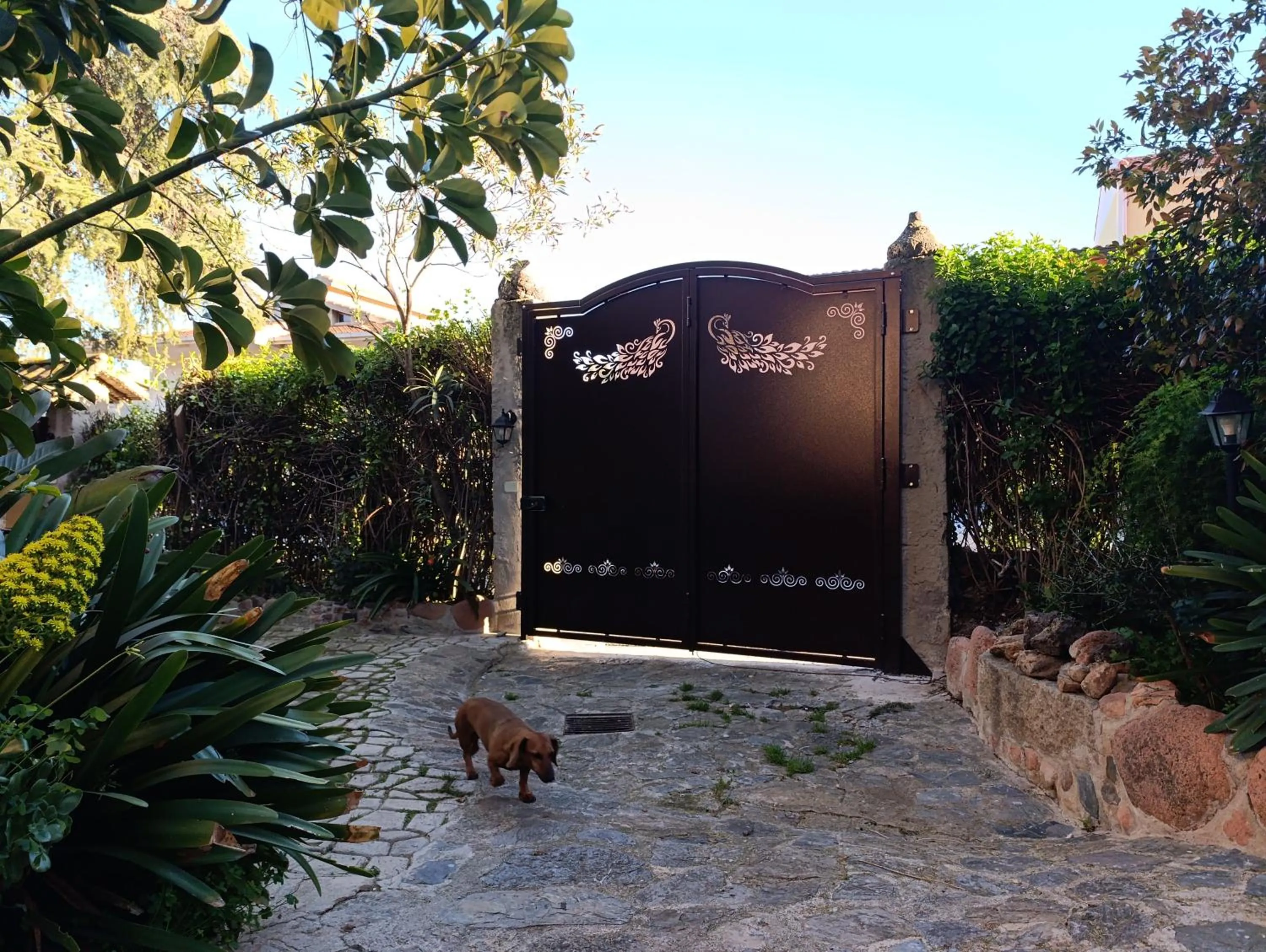 Inner courtyard view in Zia Chiarina