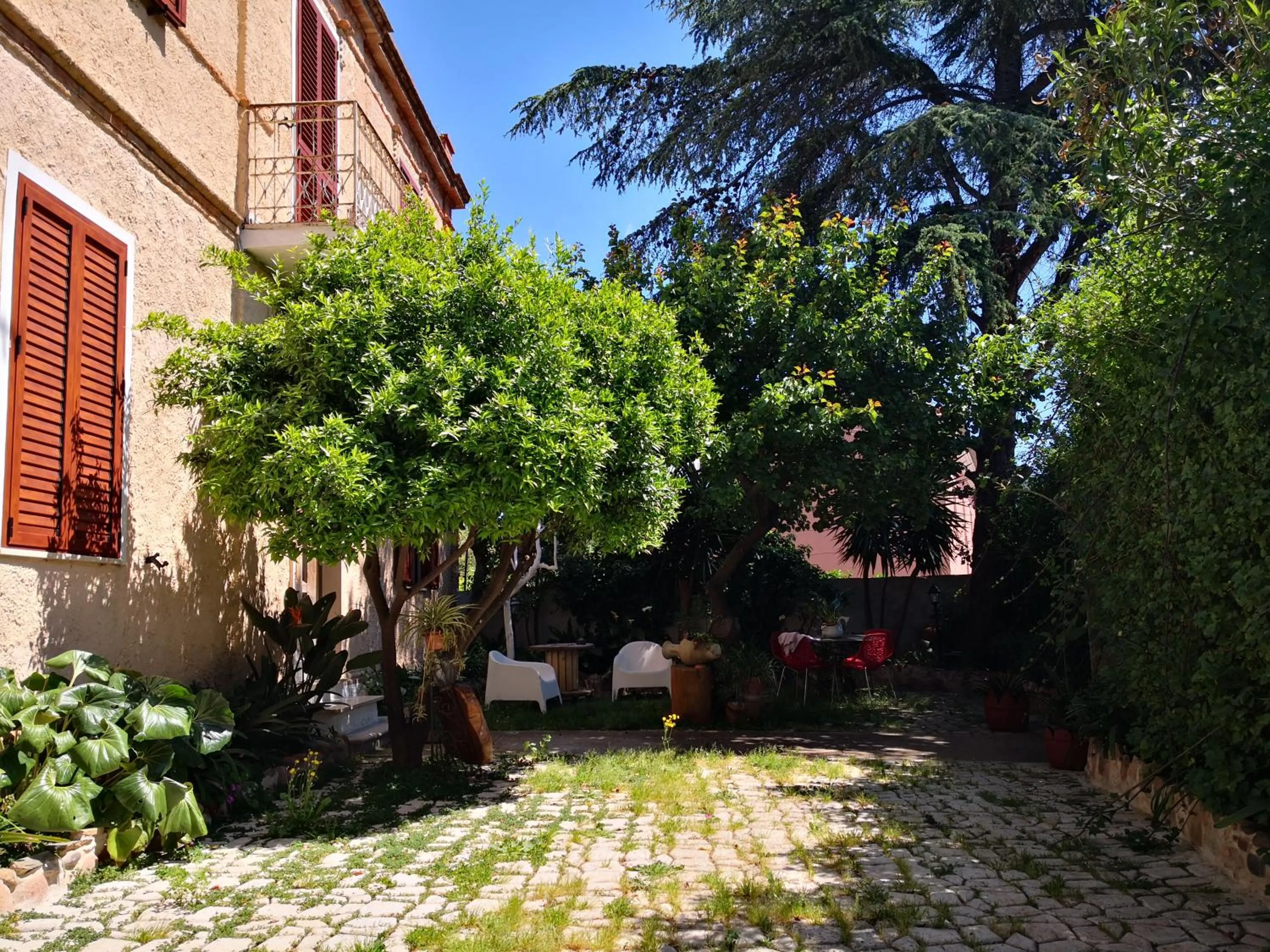 Garden in Zia Chiarina