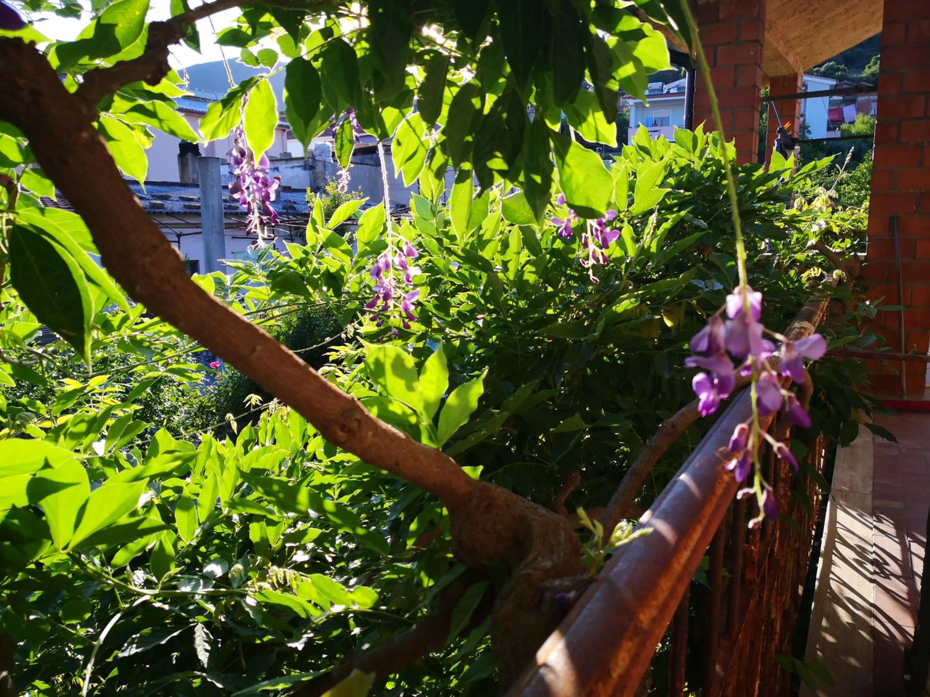 Balcony/Terrace in Zia Chiarina
