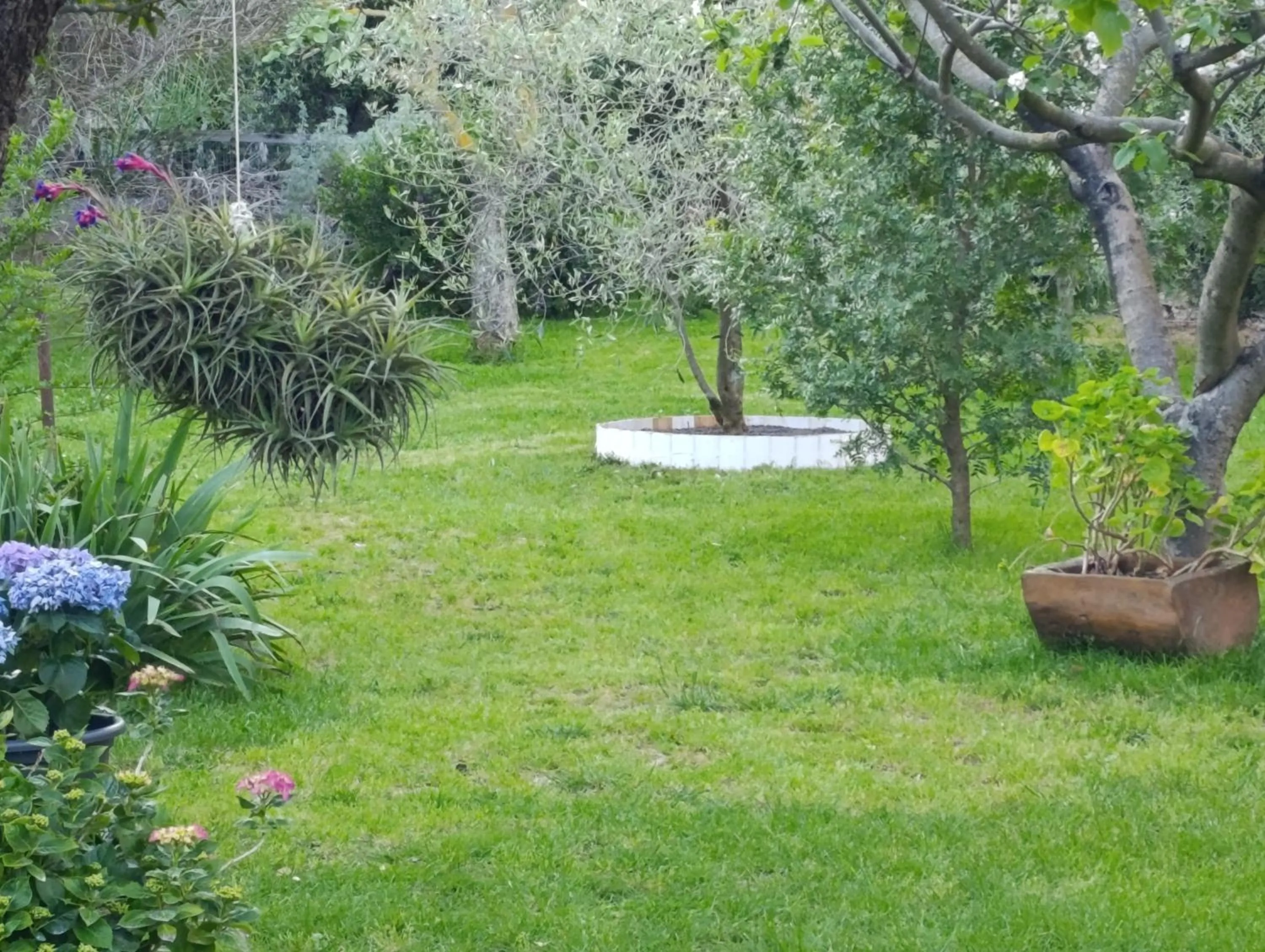 Garden view in Zia Chiarina