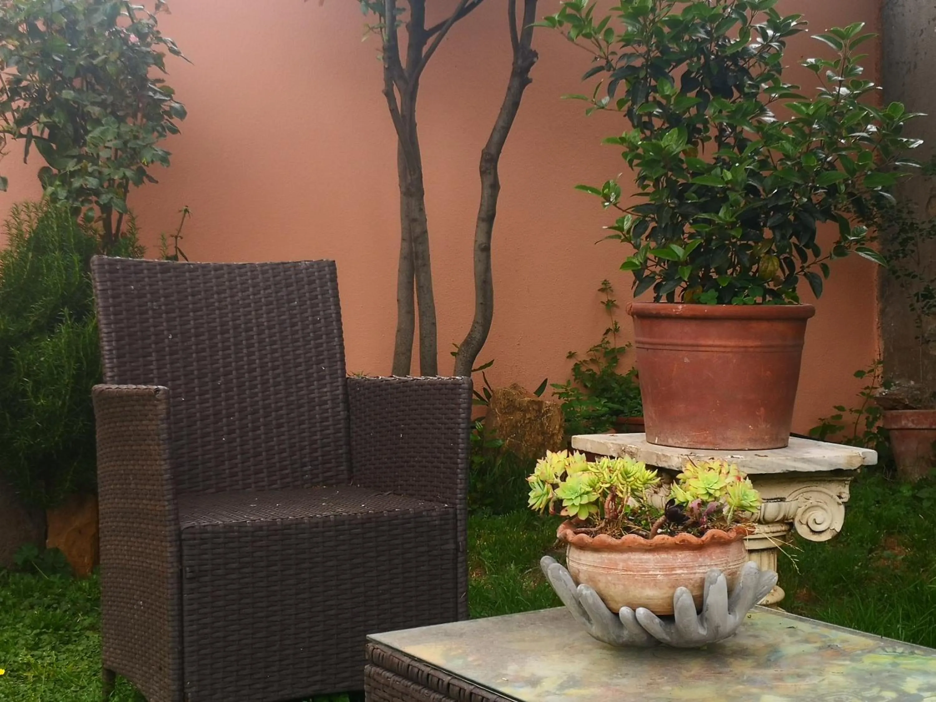 Garden view in Zia Chiarina