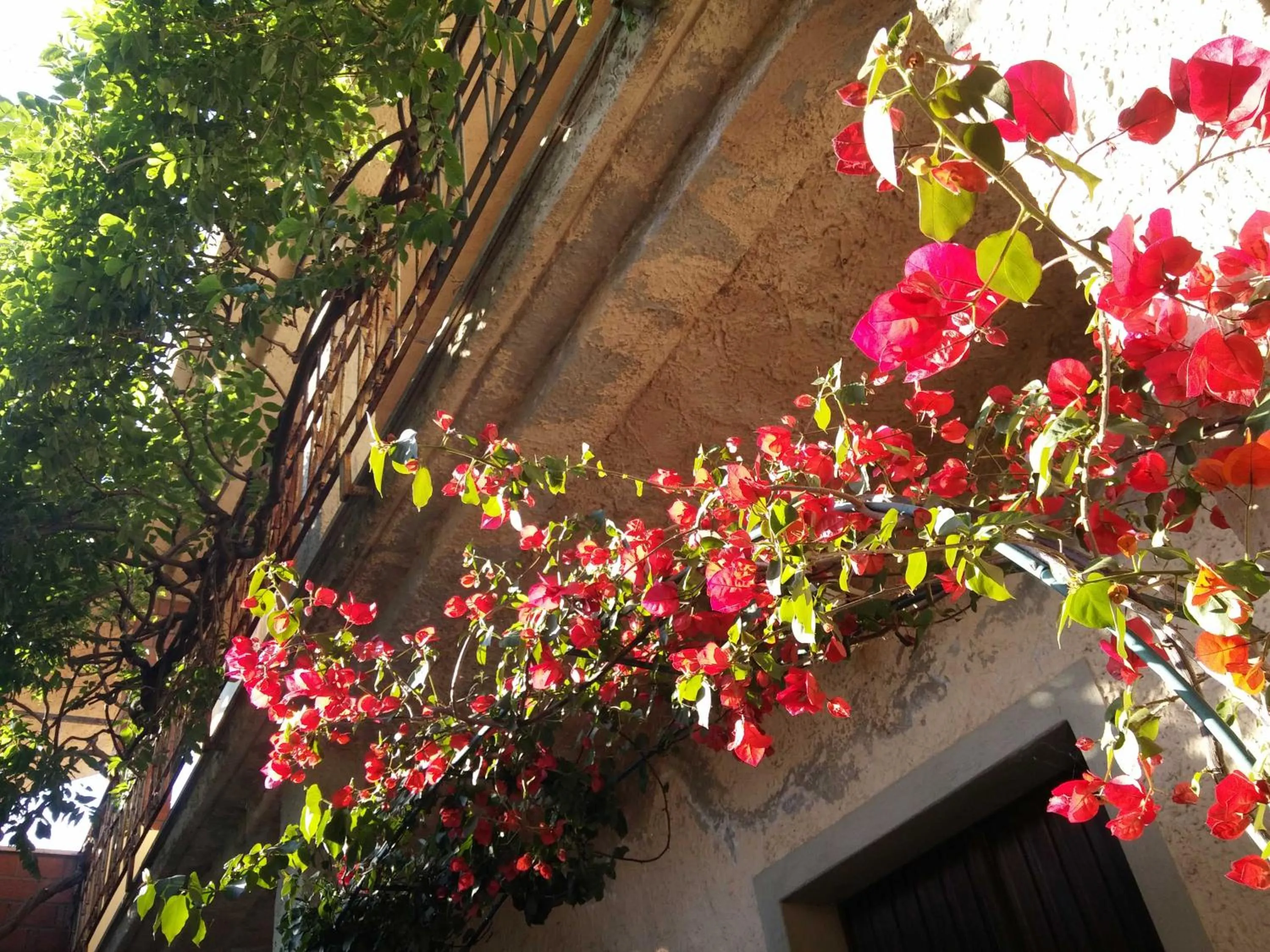 Facade/entrance in Zia Chiarina