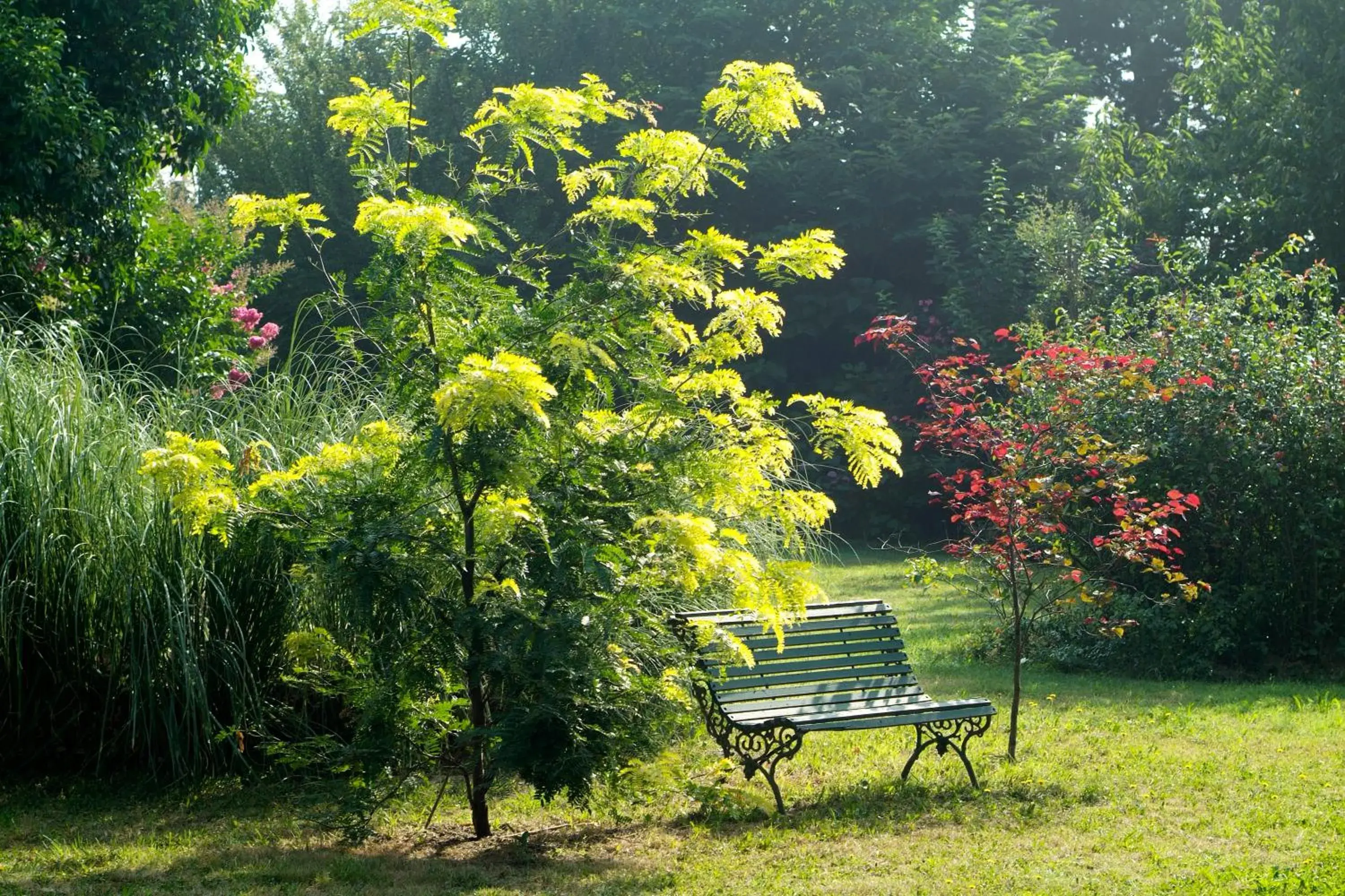 Garden in Mas de la Chapelle Garden in Mas de la Chapelle