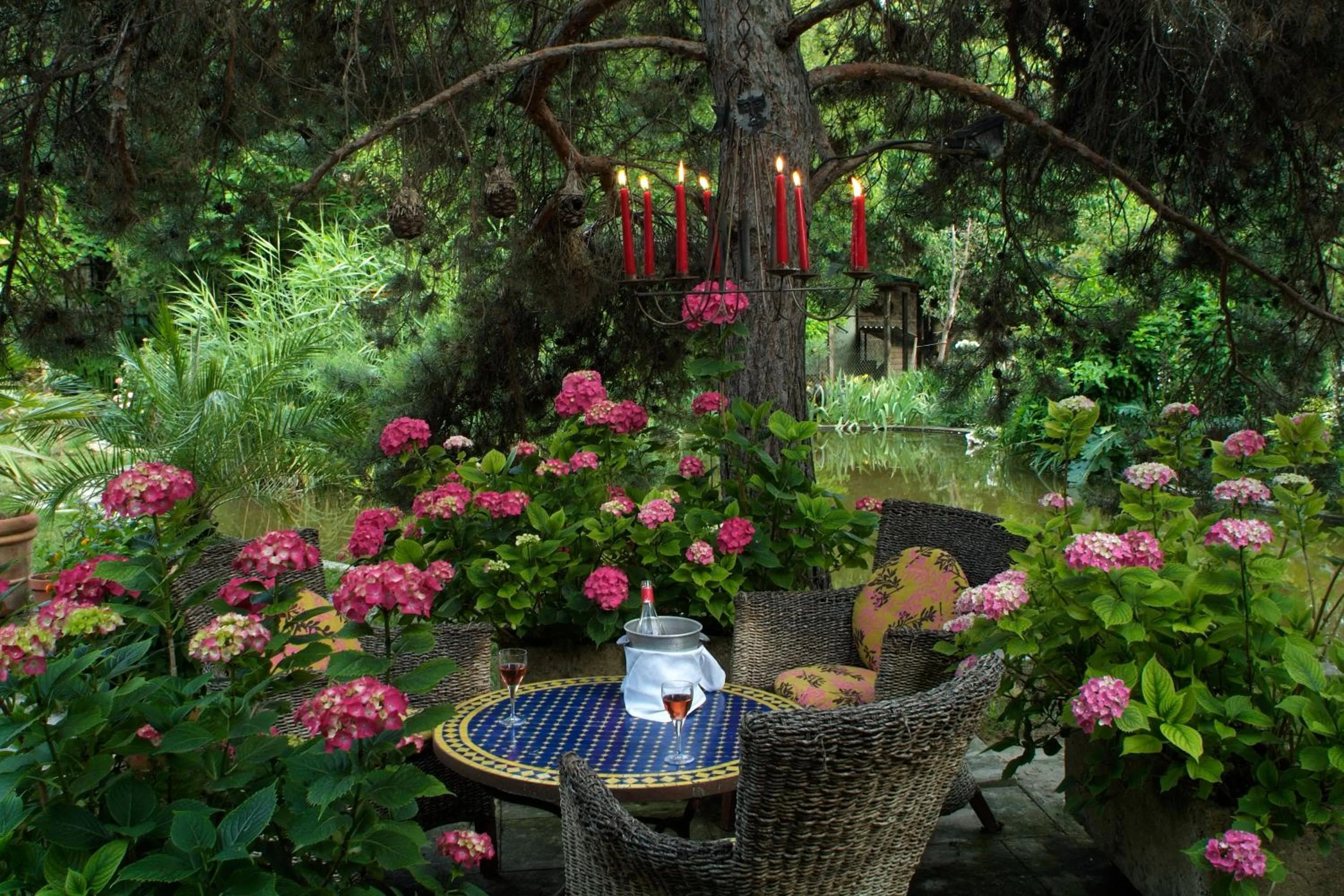 Garden in Mas de la Chapelle