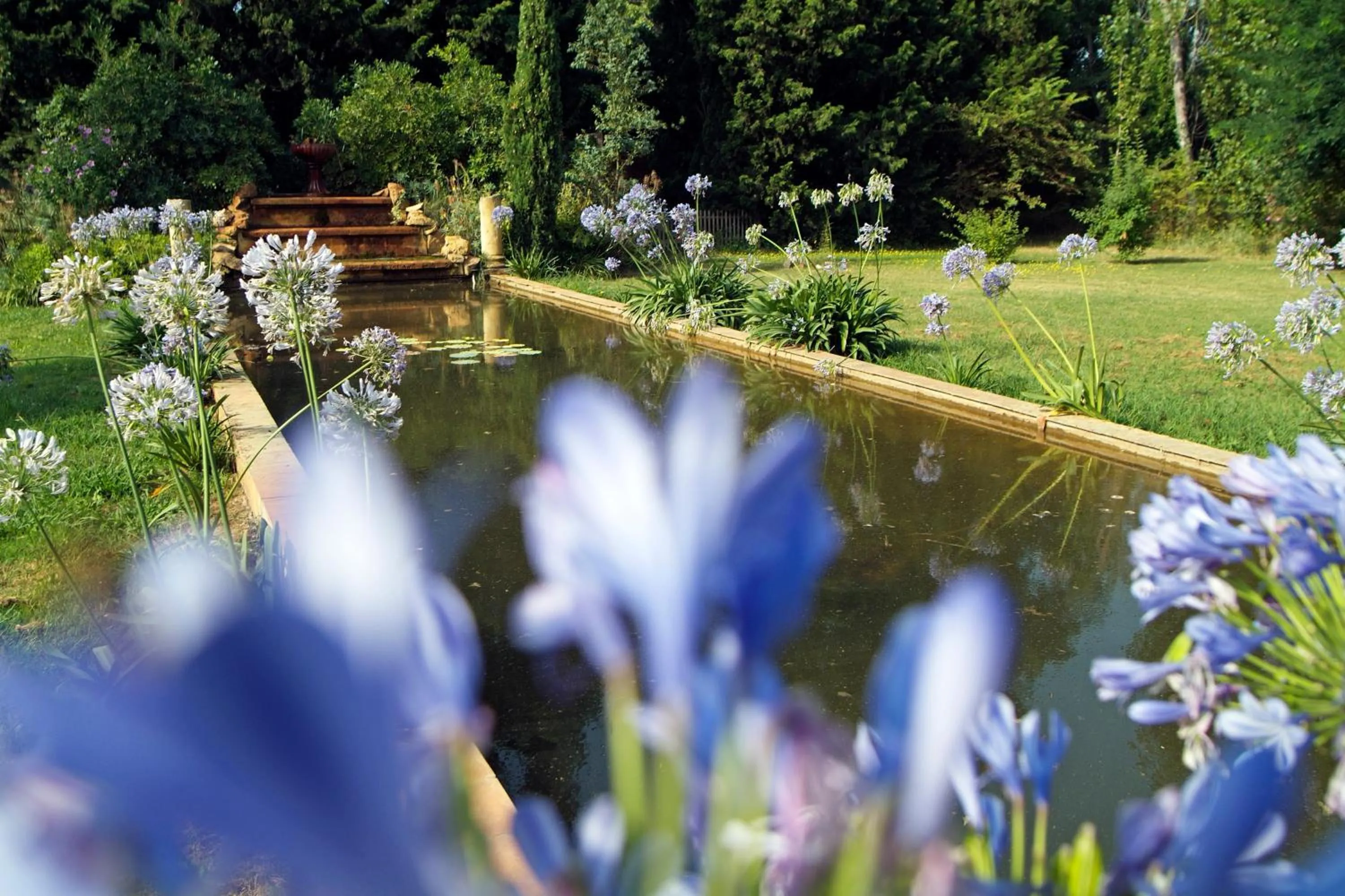 Garden in Mas de la Chapelle