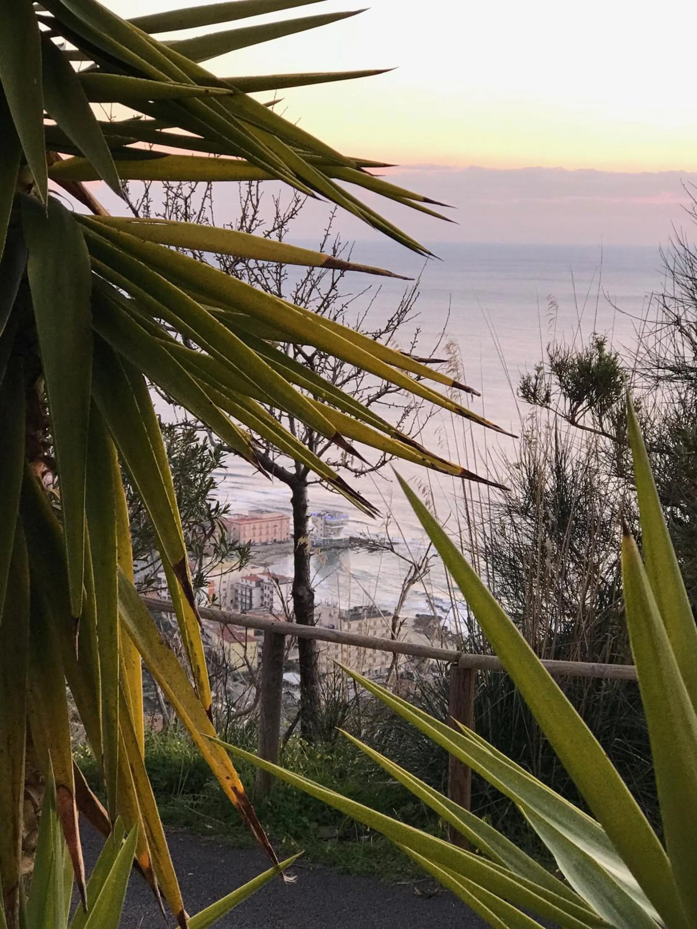 Natural landscape in Residenza Le Serre