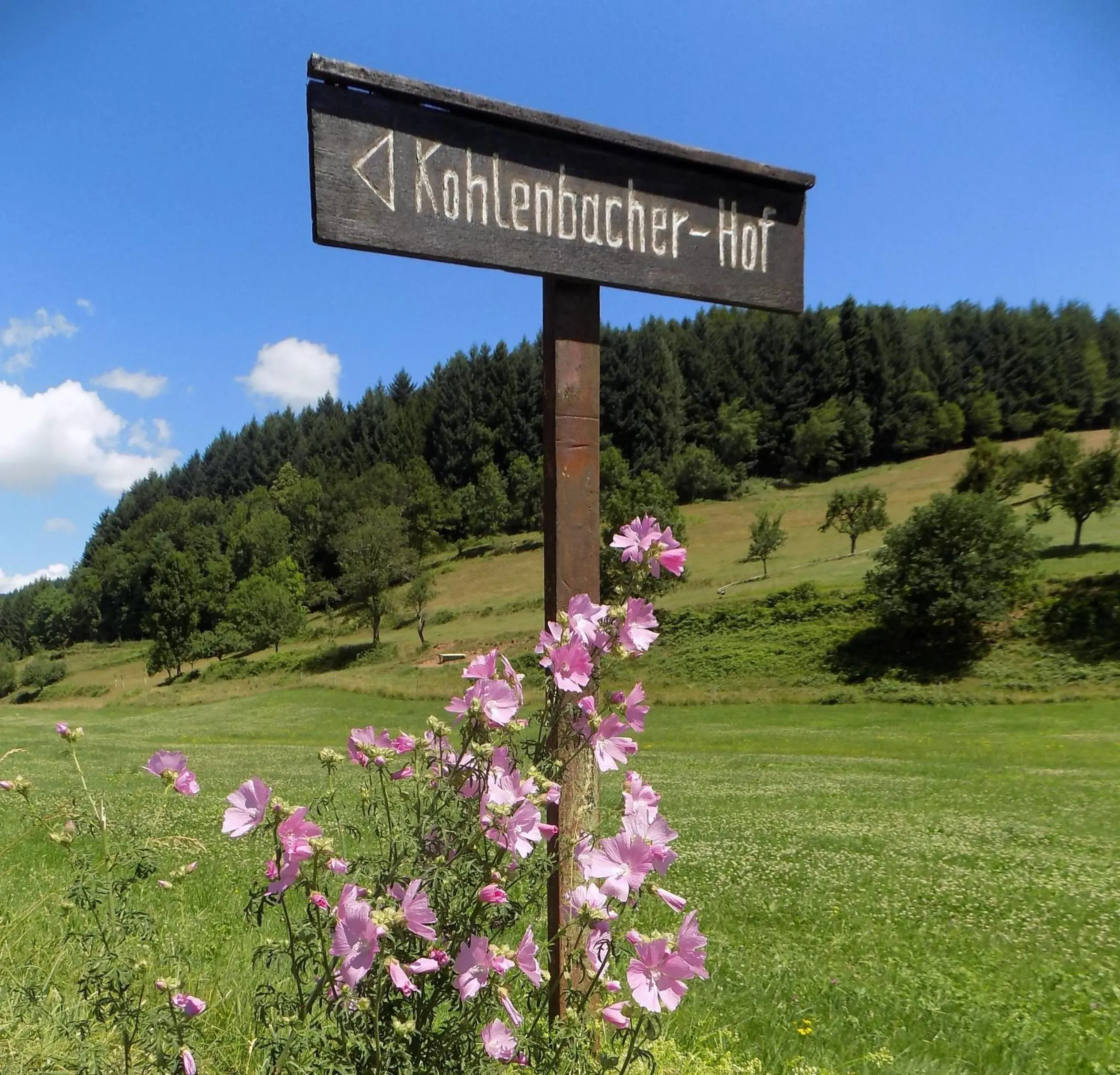 Hotel-Restaurant Kohlenbacher-Hof Hotel-Restaurant Kohlenbacher-Hof