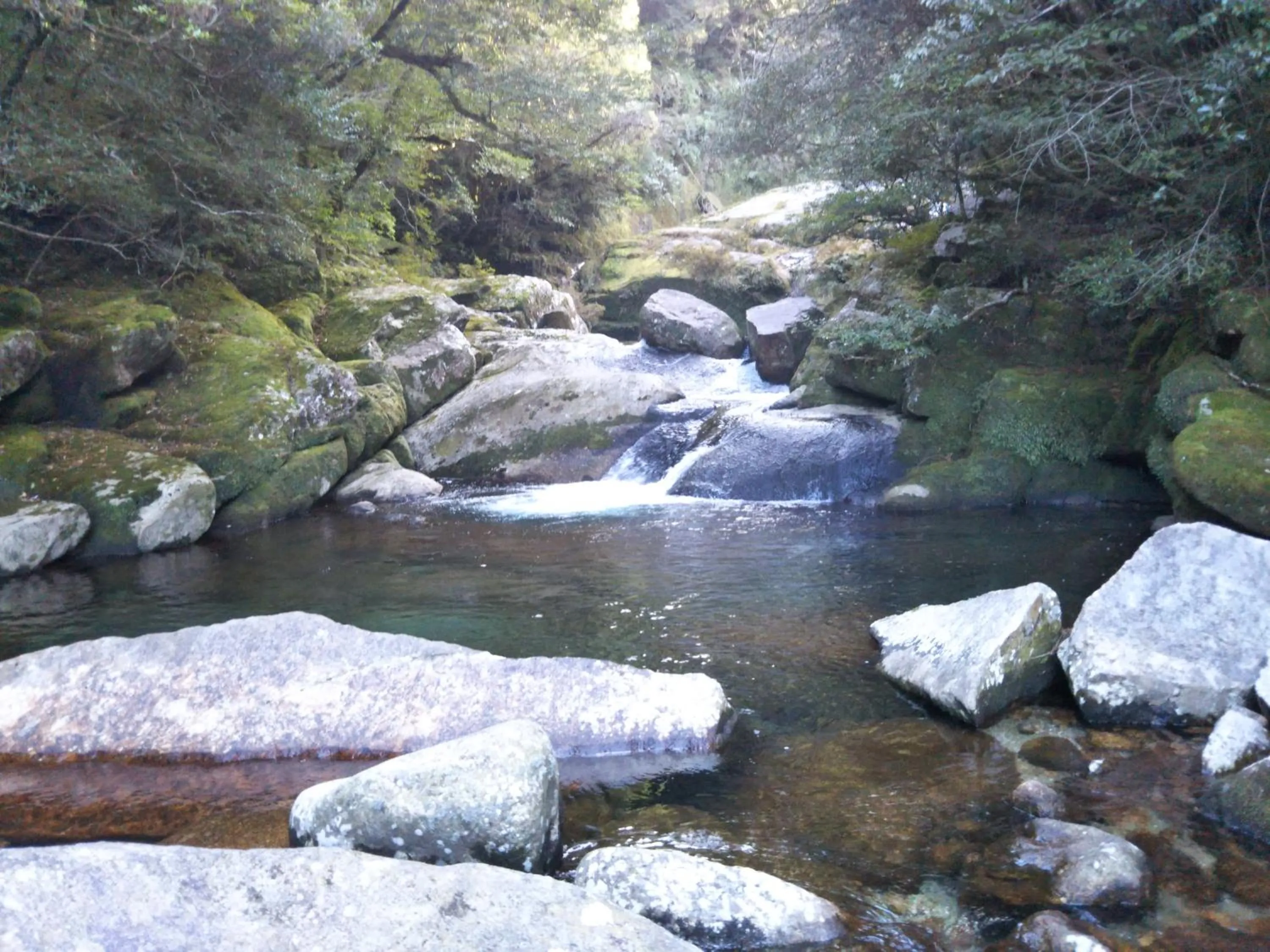 Nearby landmark in Cottage Yakusugi House