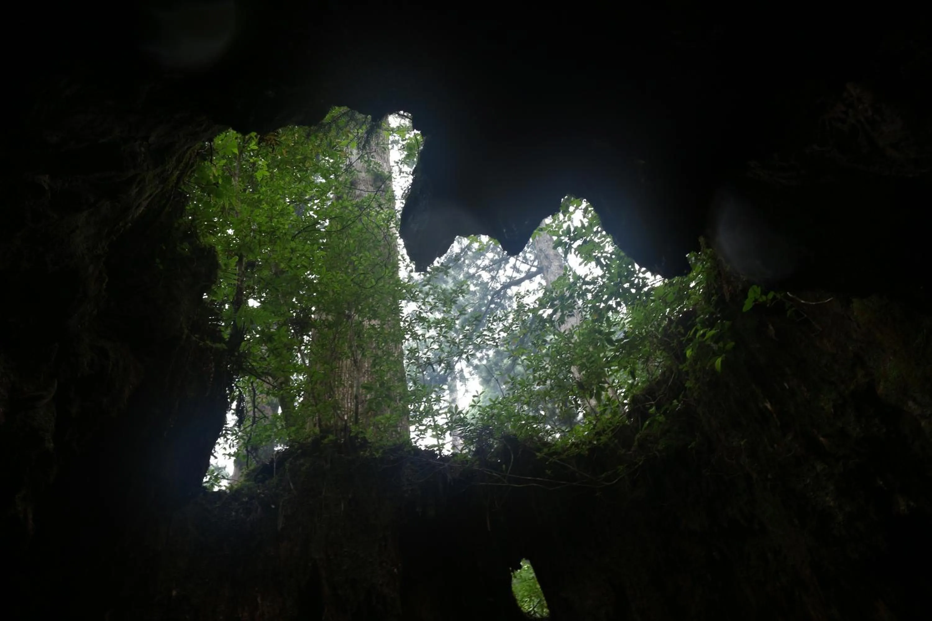 Nearby landmark in Cottage Yakusugi House