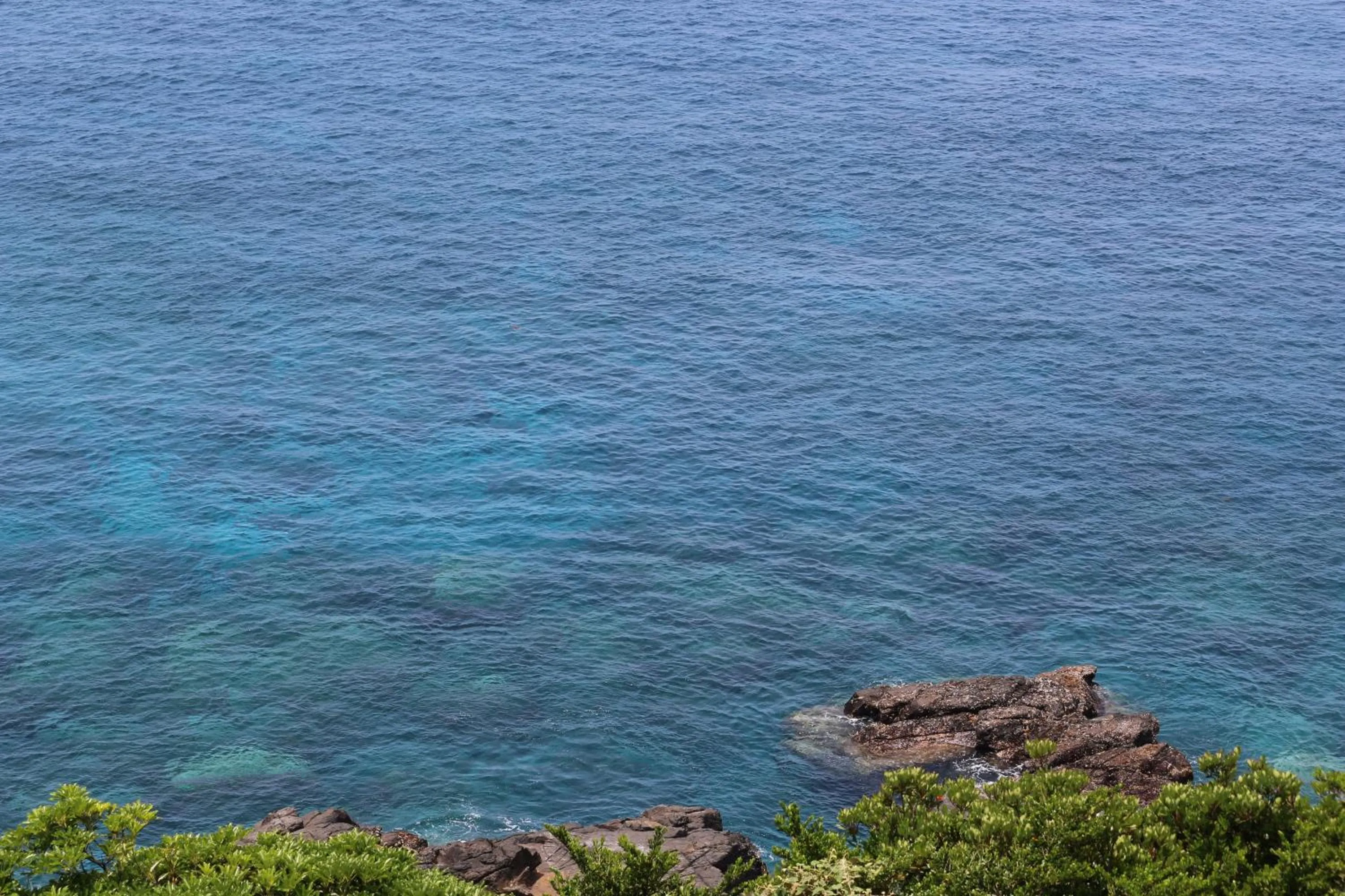 Natural landscape in Cottage Yakusugi House