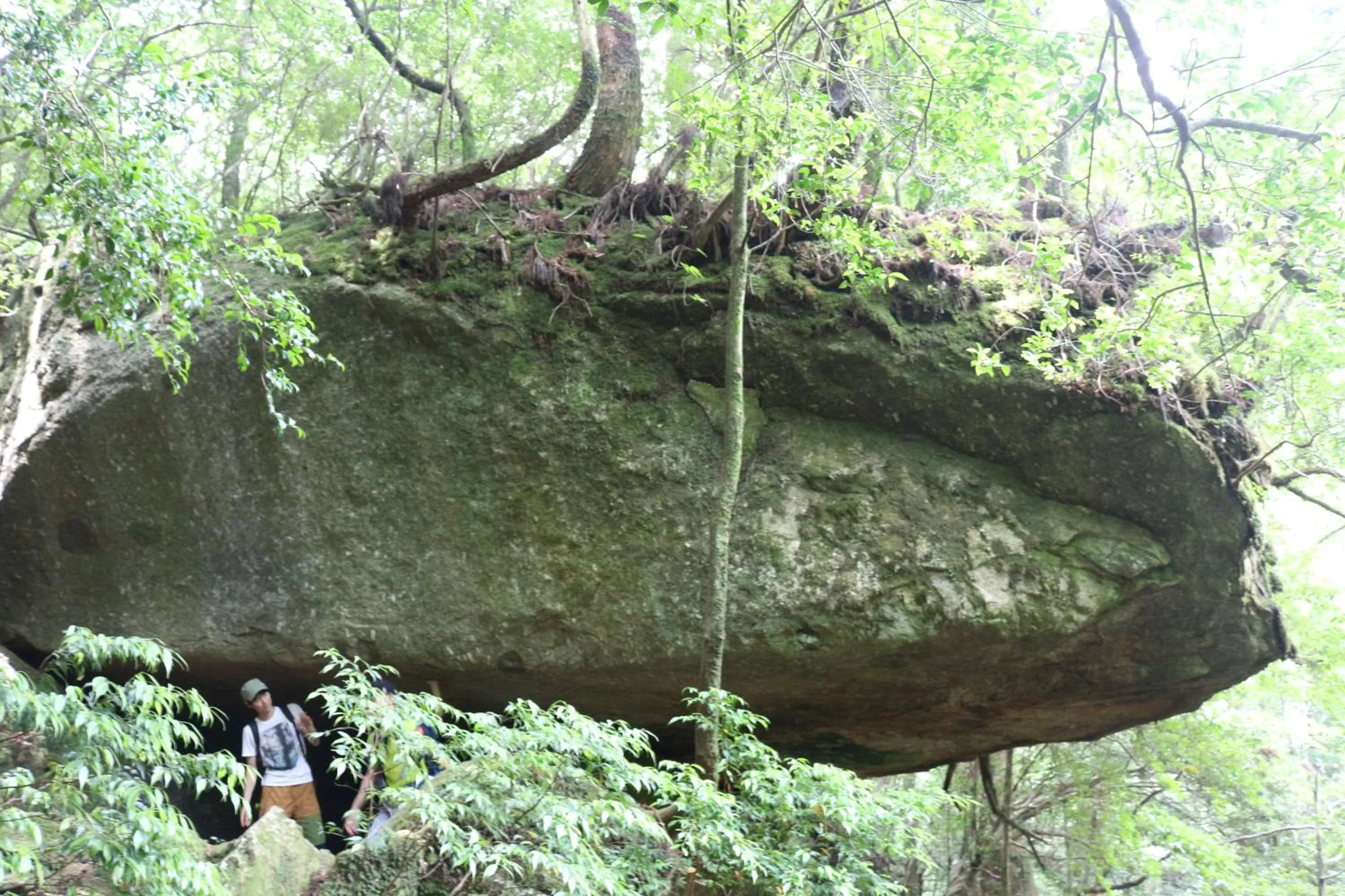 Nearby landmark in Cottage Yakusugi House