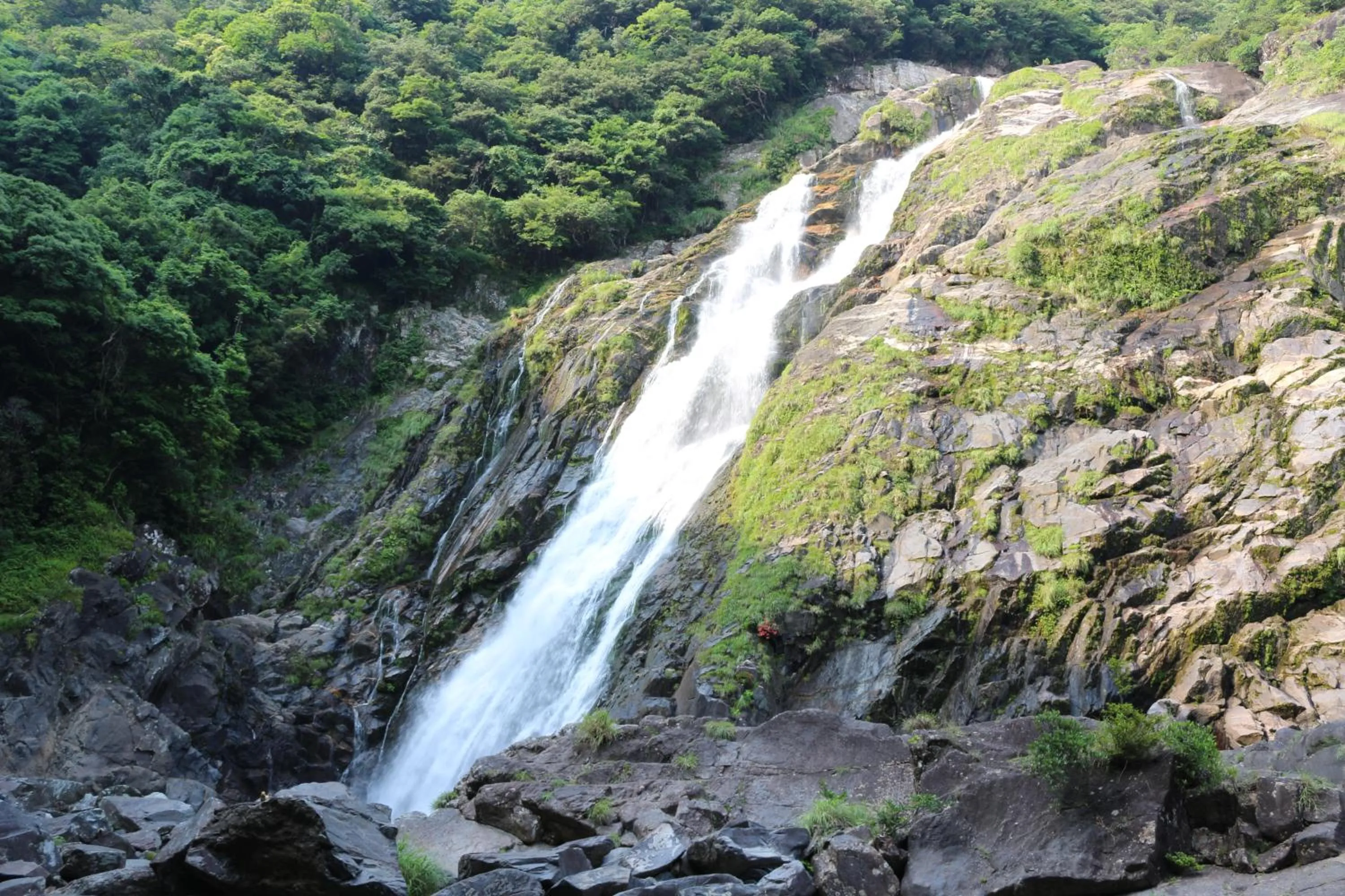 Nearby landmark in Cottage Yakusugi House