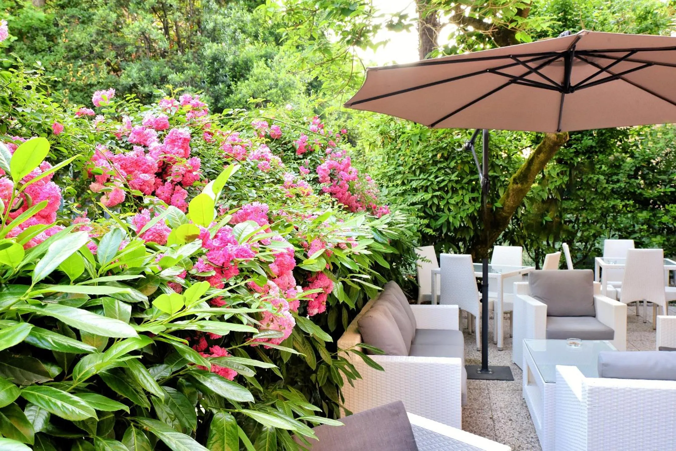 Area and facilities in Hotel Villa Pannonia