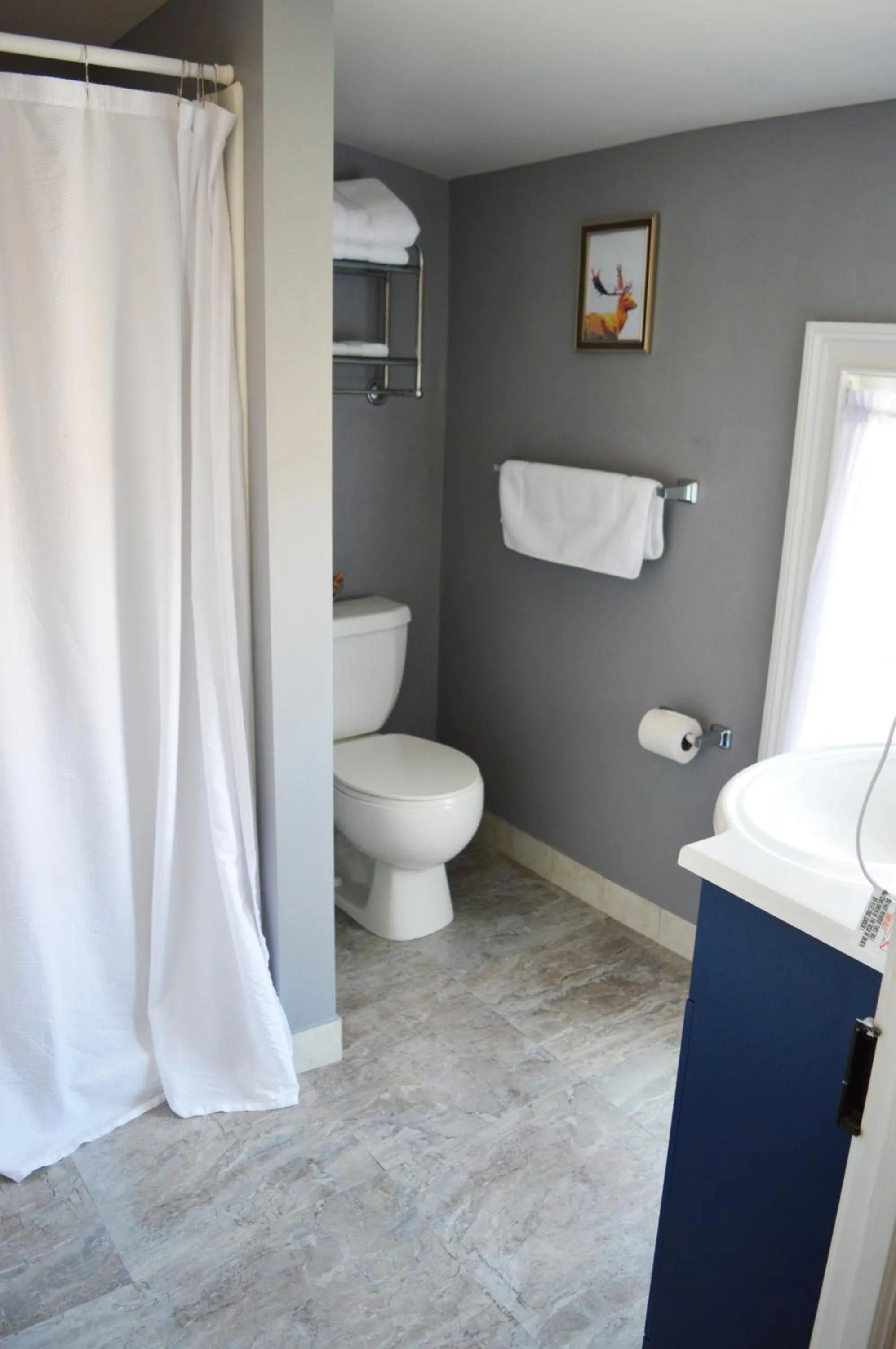 Shower in Mountain View Suites