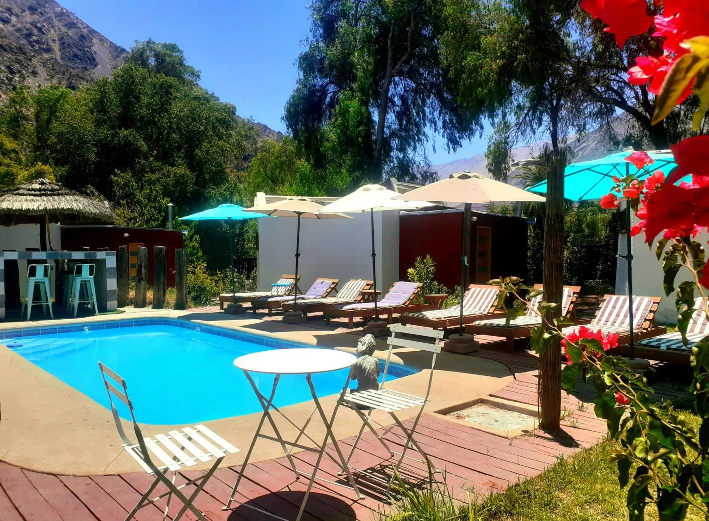 Organica Lodge Hotel