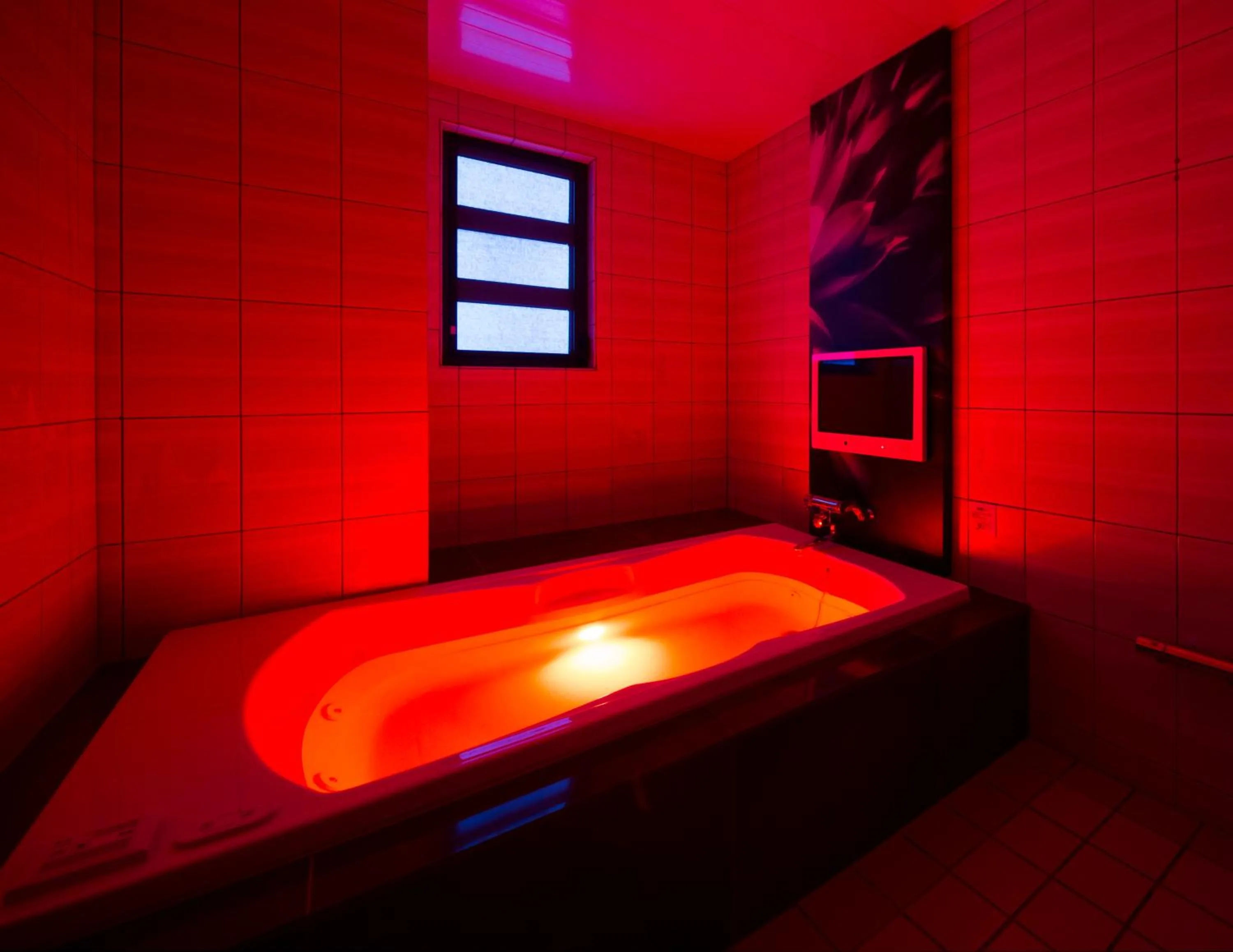 Photo of the whole room in Hotel Plant Garden Resort (Adult Only)