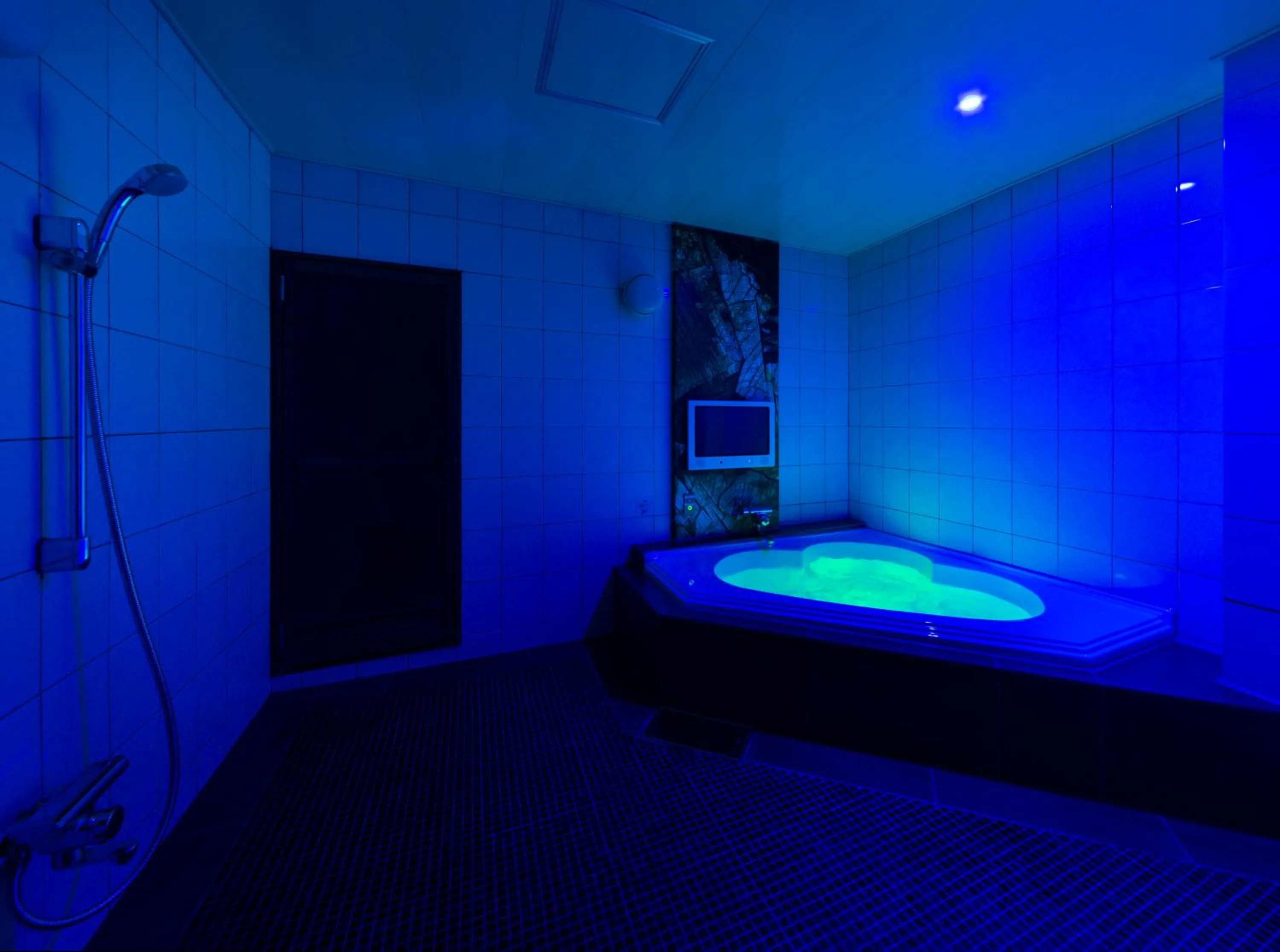 Photo of the whole room, Bed in Hotel Plant Garden Resort (Adult Only)