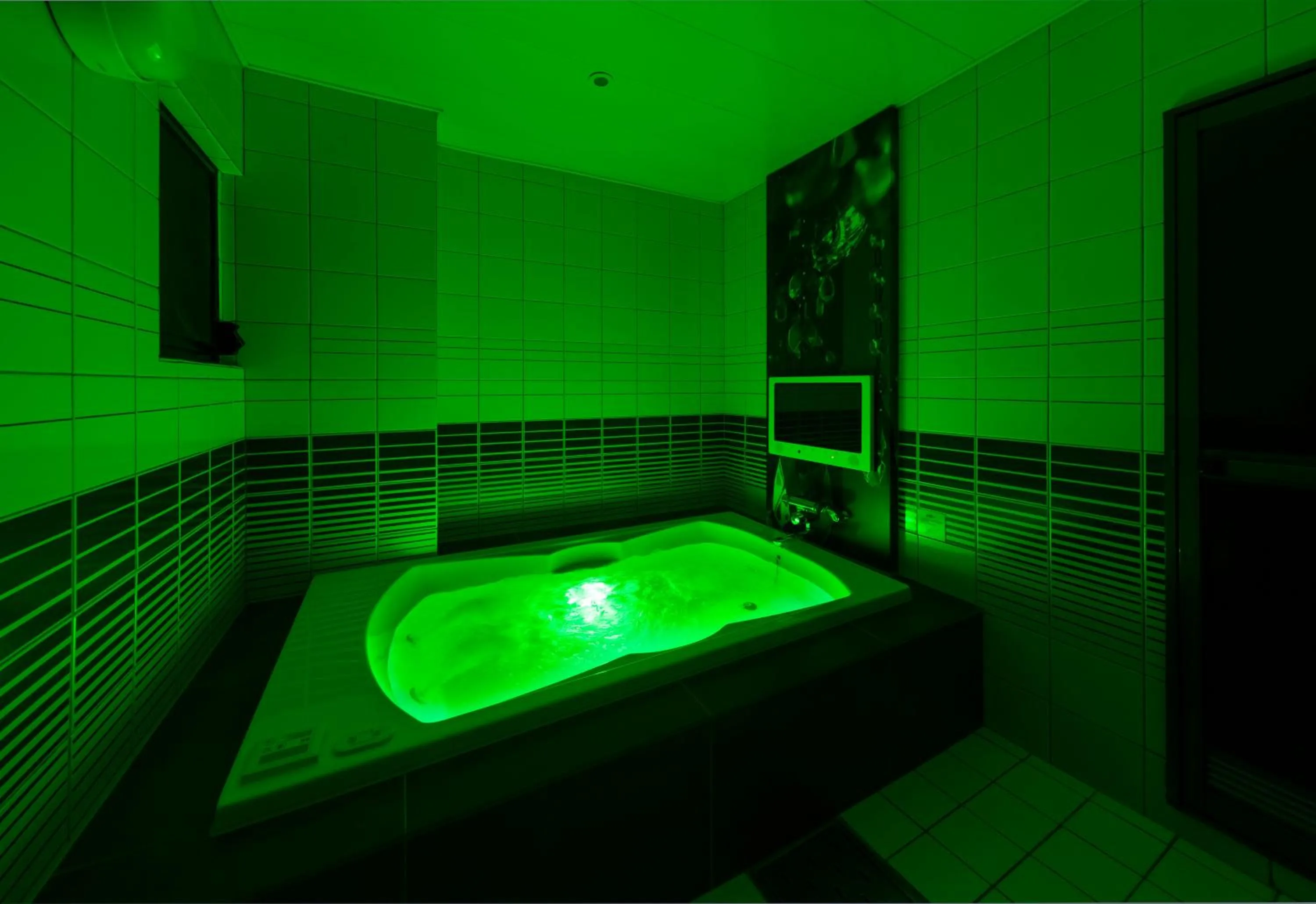 Photo of the whole room in Hotel Plant Garden Resort (Adult Only)