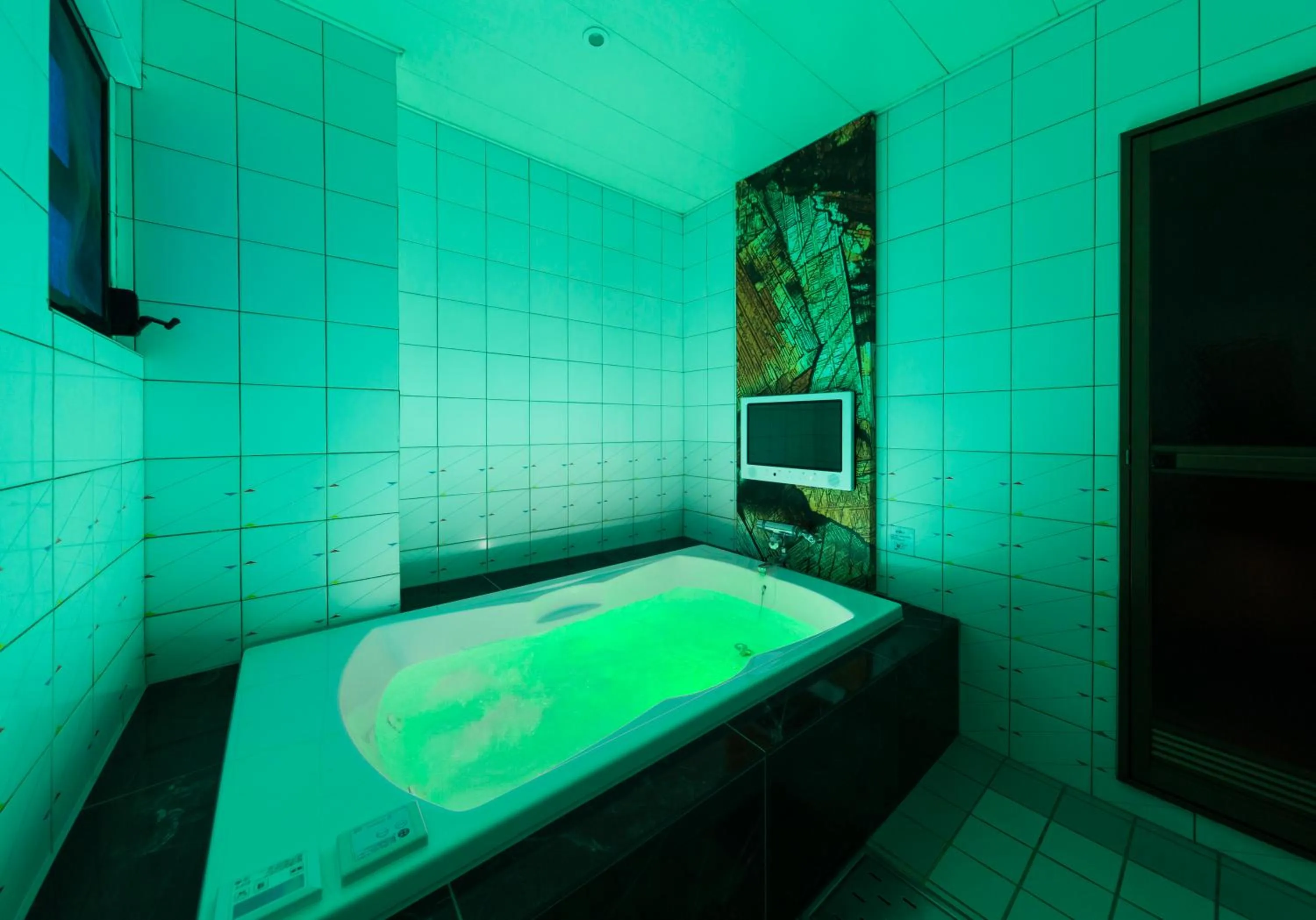 Photo of the whole room in Hotel Plant Garden Resort (Adult Only)