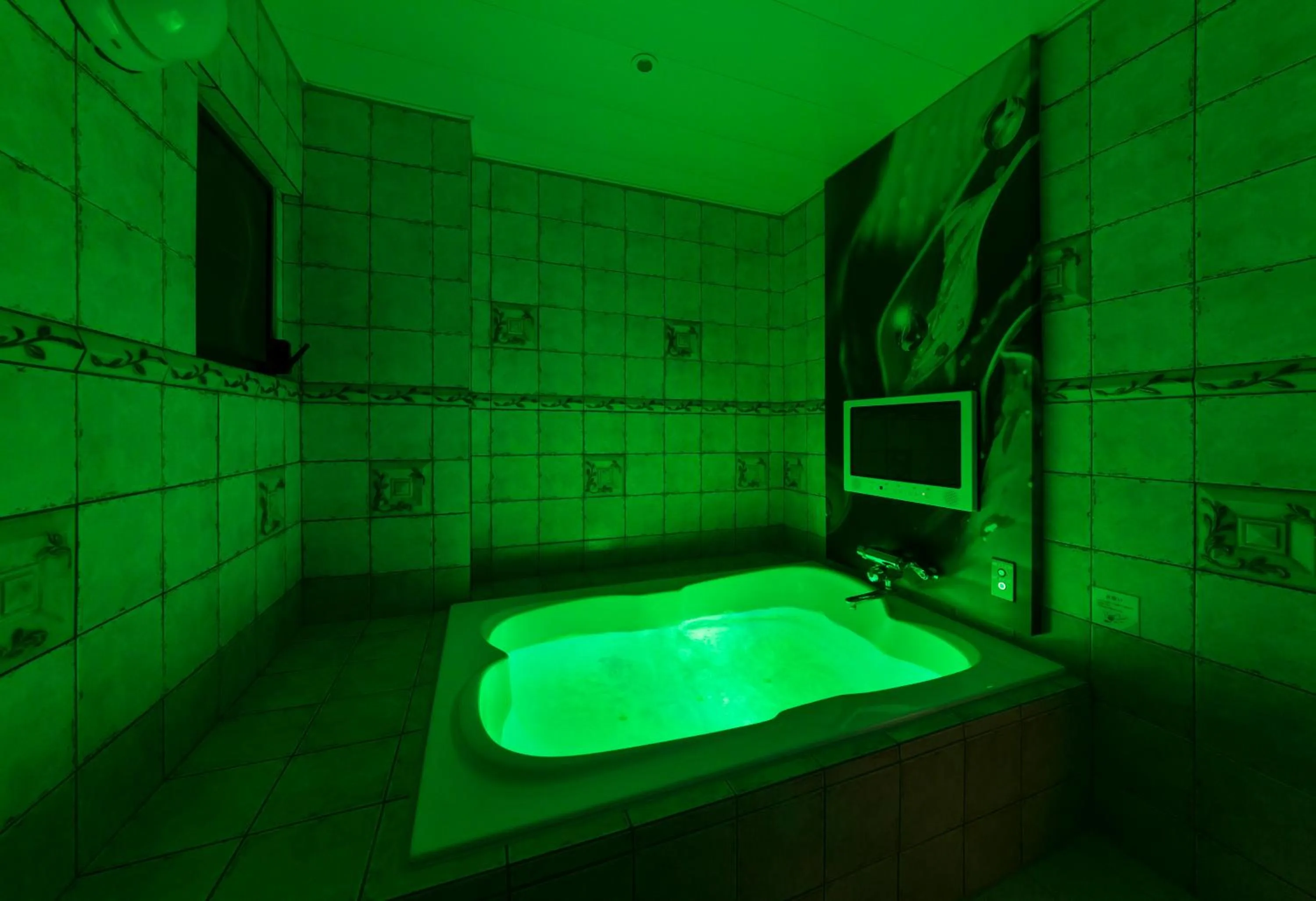 Photo of the whole room in Hotel Plant Garden Resort (Adult Only)