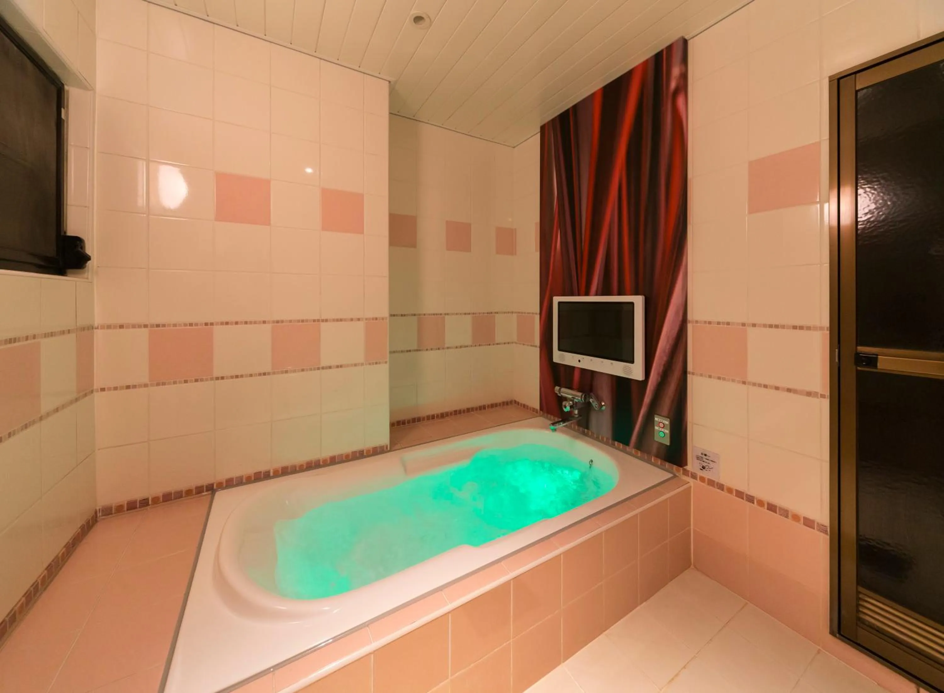 Photo of the whole room in Hotel Plant Garden Resort (Adult Only)