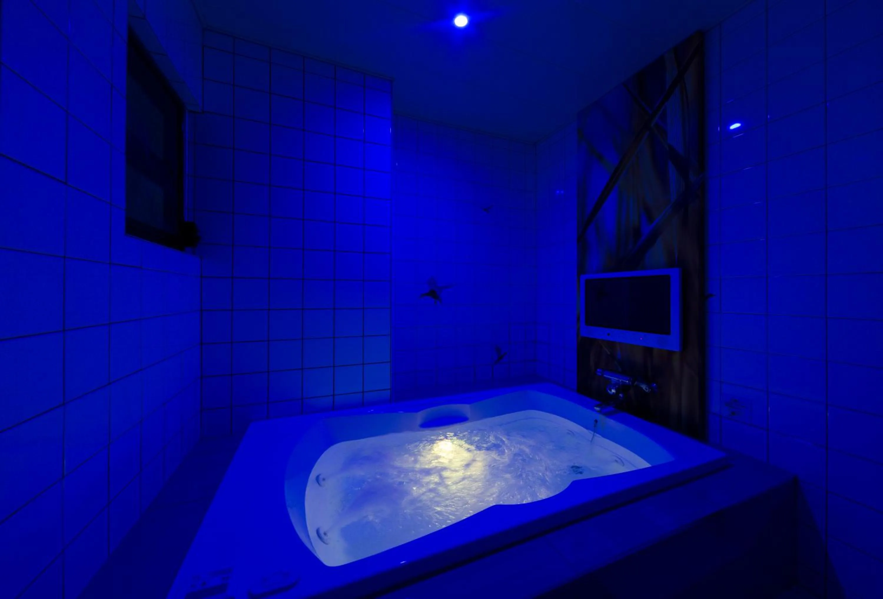 Photo of the whole room in Hotel Plant Garden Resort (Adult Only)