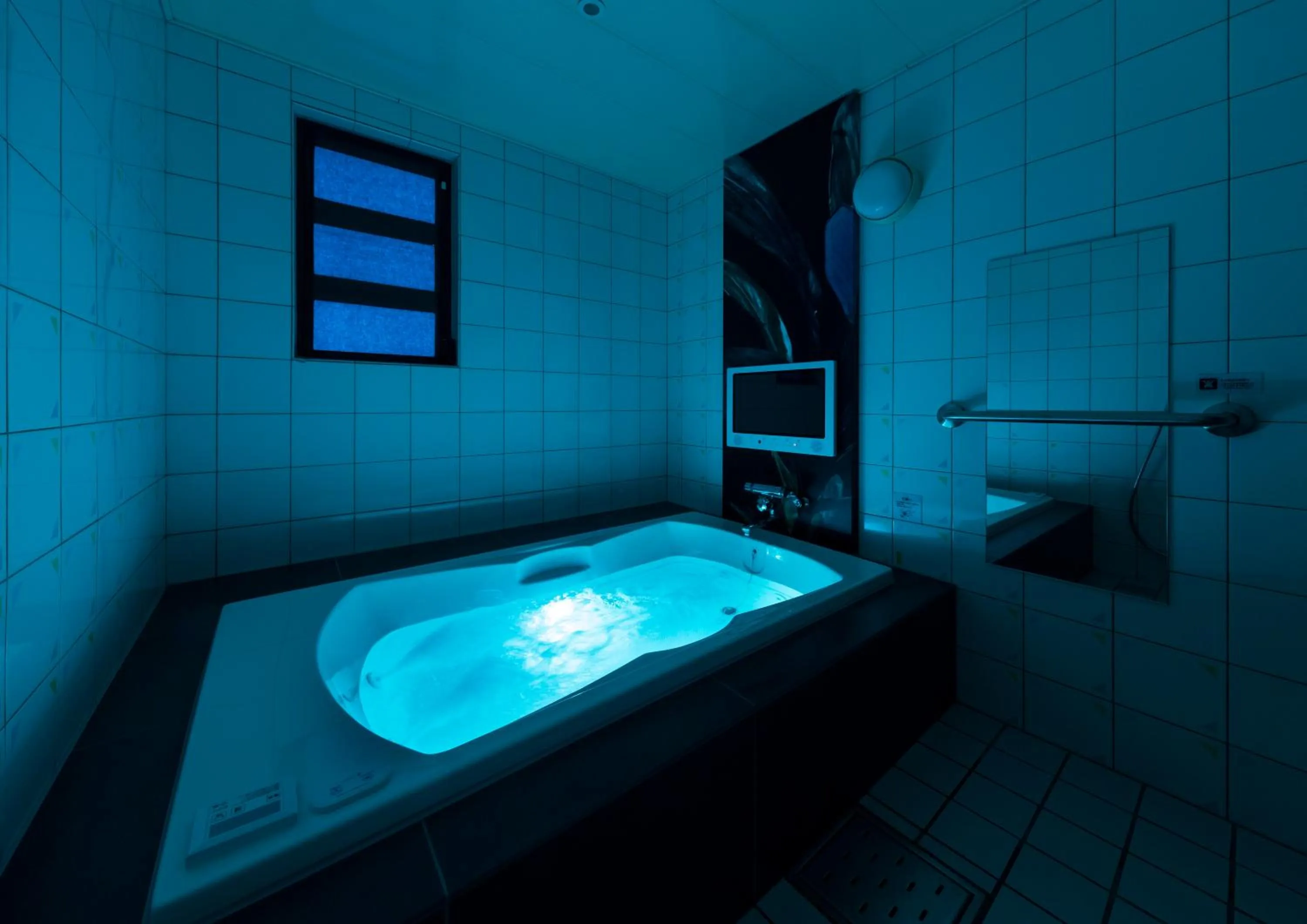 Photo of the whole room in Hotel Plant Garden Resort (Adult Only)