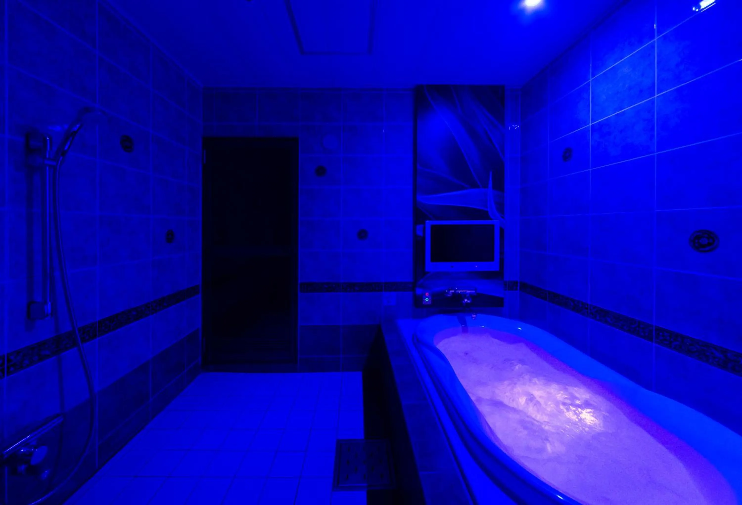 Photo of the whole room in Hotel Plant Garden Resort (Adult Only)