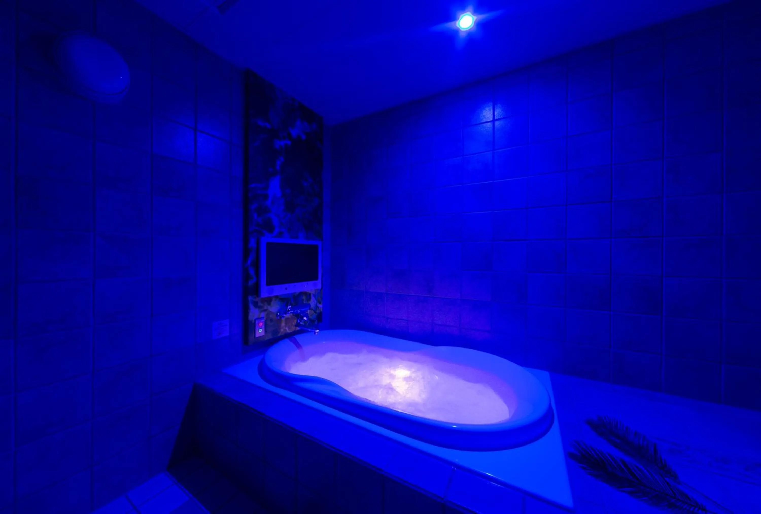 Photo of the whole room in Hotel Plant Garden Resort (Adult Only)