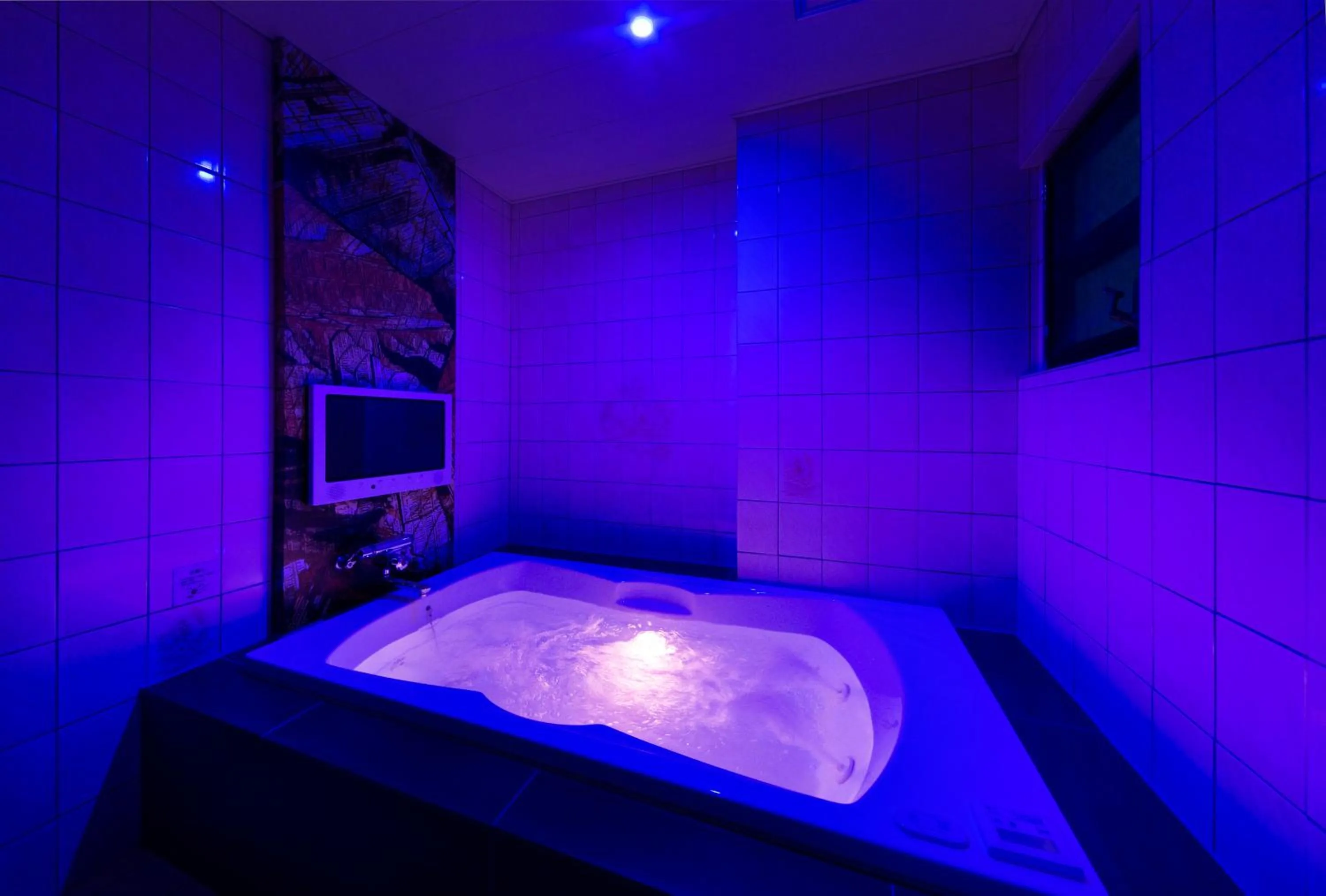 Photo of the whole room in Hotel Plant Garden Resort (Adult Only)