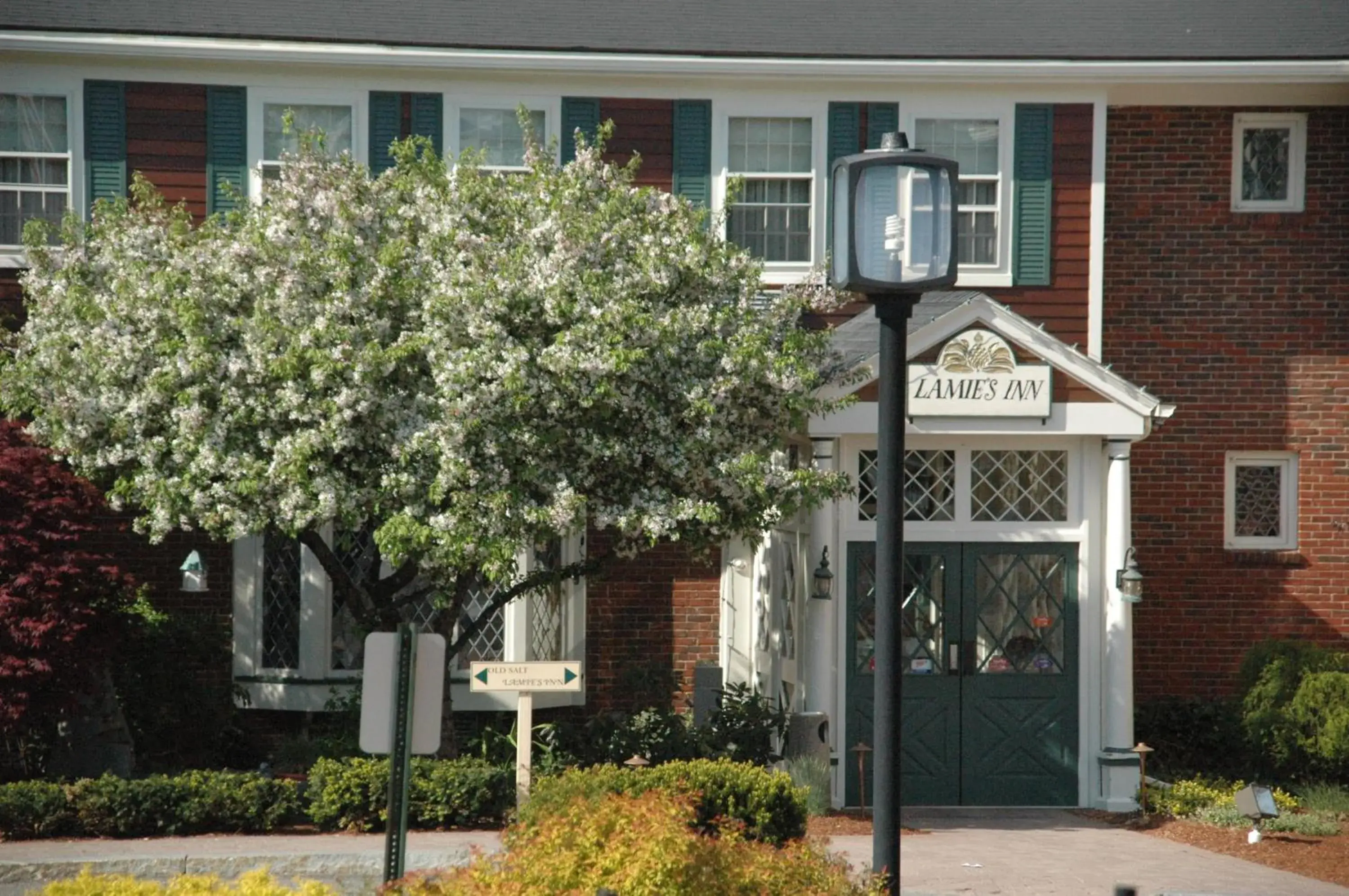 Garden view in Lamies Inn & The Old Salt Tavern Garden view in Lamies Inn & The Old Salt Tavern