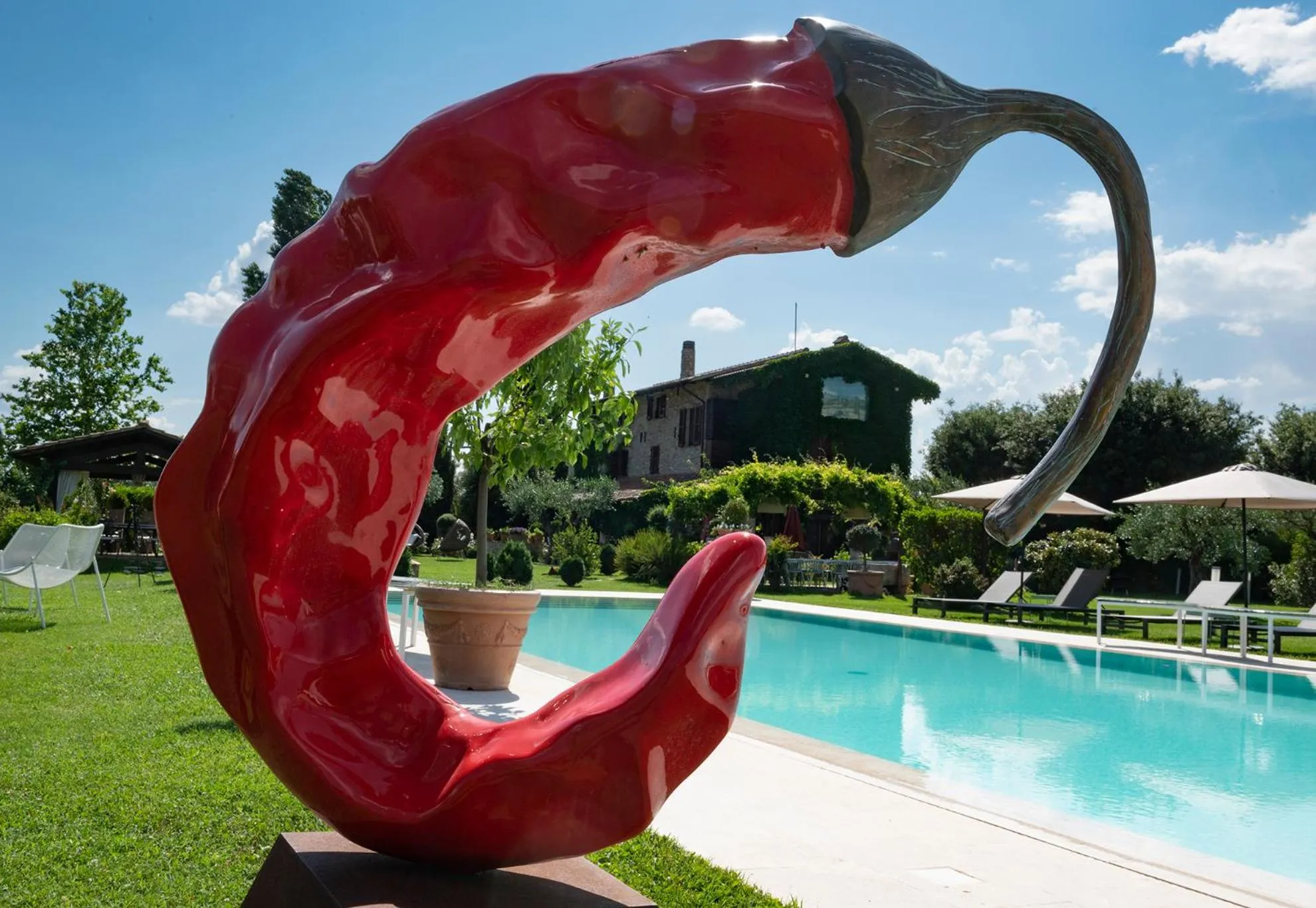 Pool view in Tenuta San Masseo - boutique farm resort & SPA