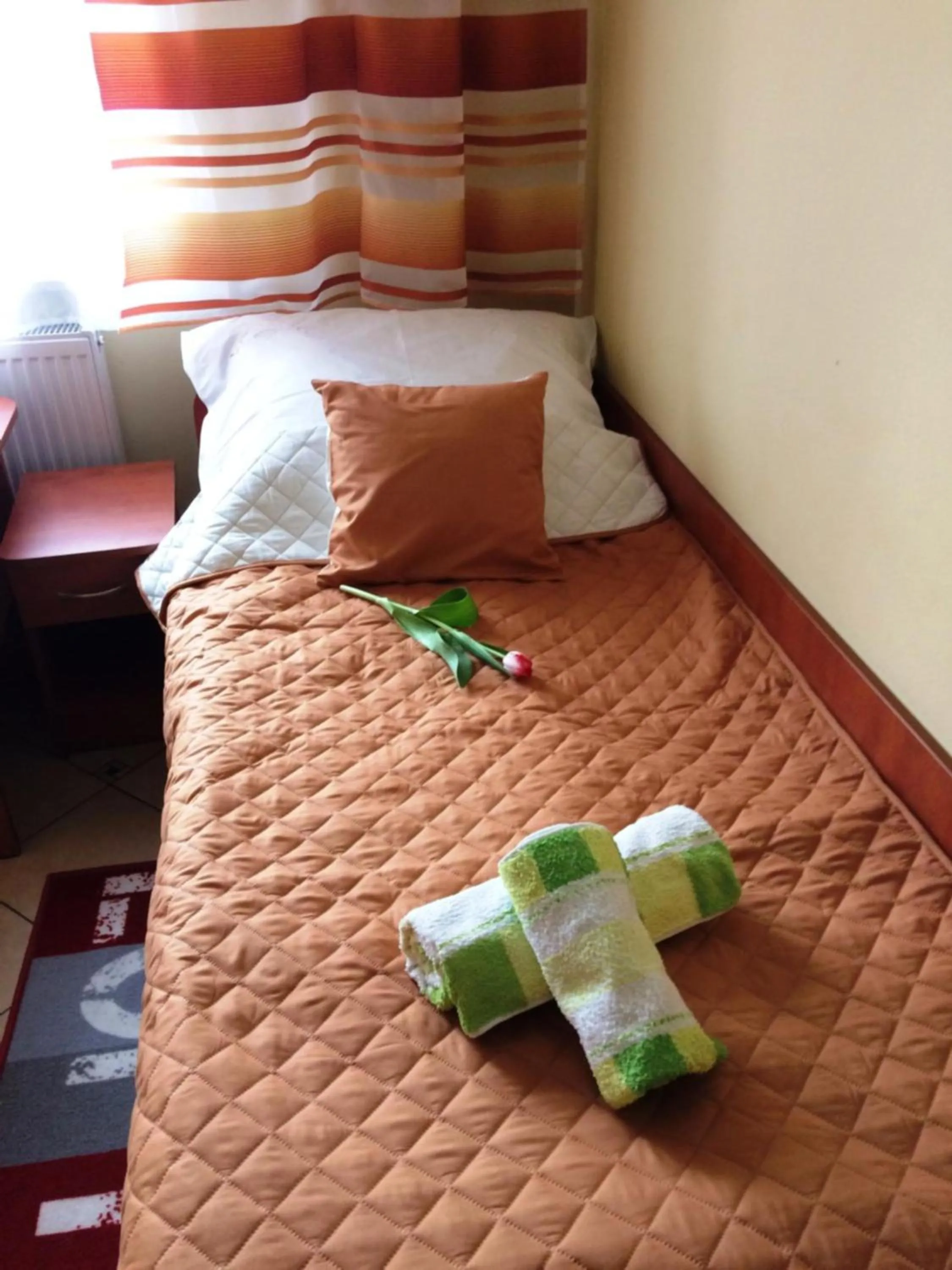 Double or Twin Room - single occupancy in Usługi Hotelowe Modlin Airport