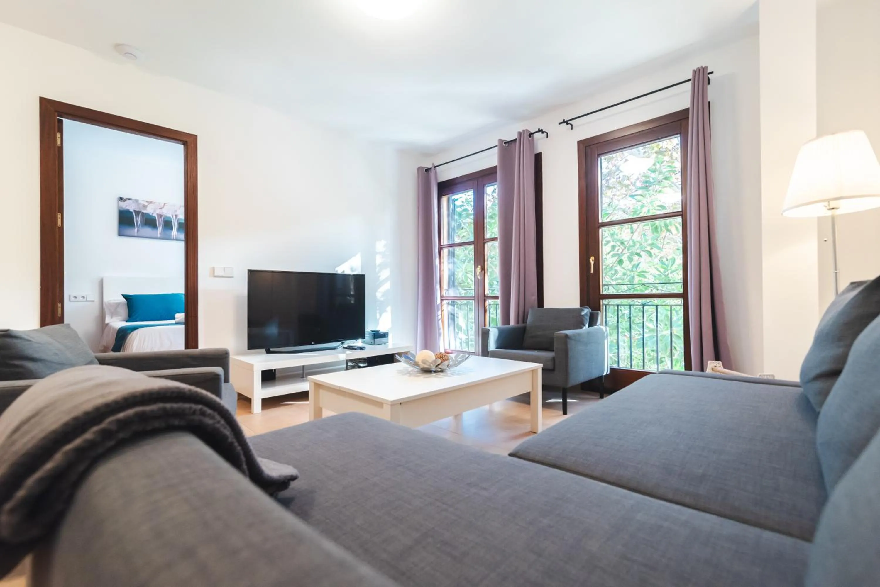 TV and multimedia in Borne Suites - Turismo de Interior