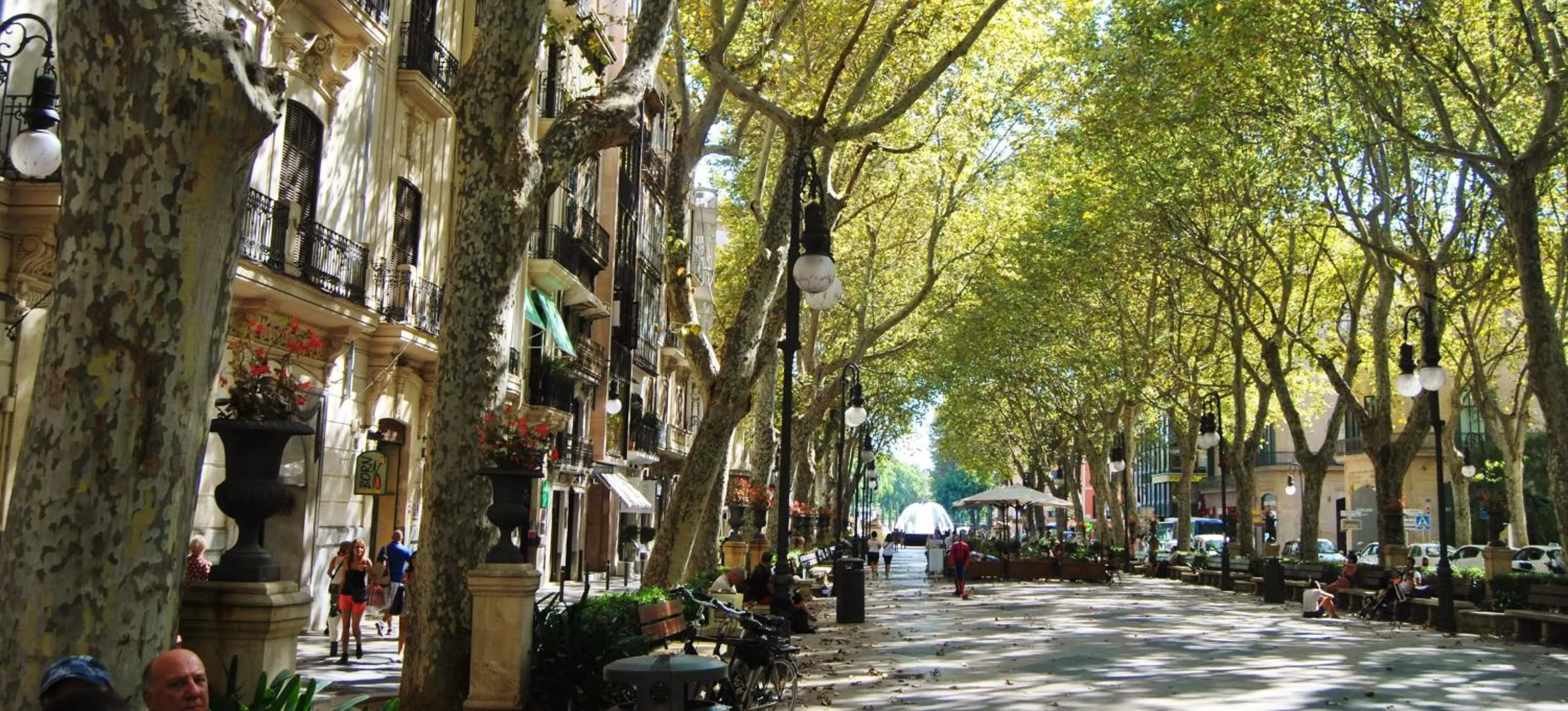 Neighbourhood in Borne Suites - Turismo de Interior