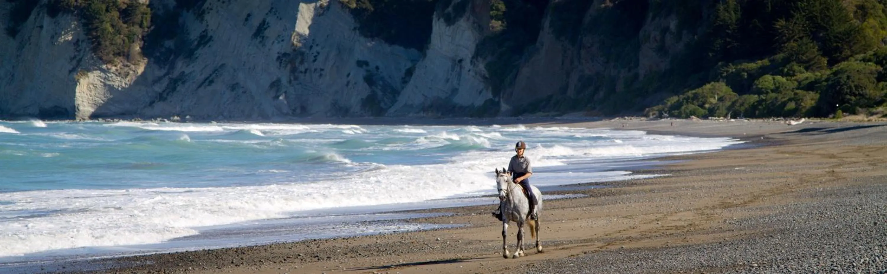 Horse-riding in Tree House Lodge Bed & Breakfast