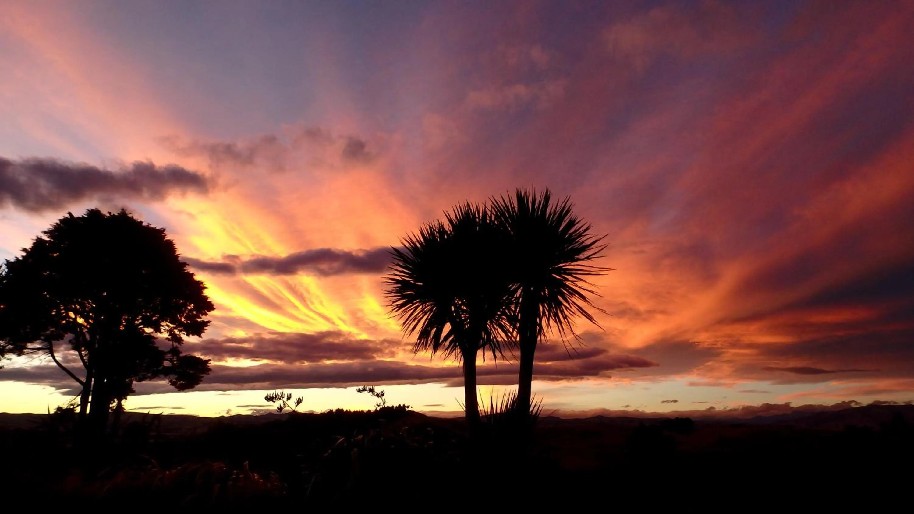 View (from property/room) in Tree House Lodge Bed & Breakfast
