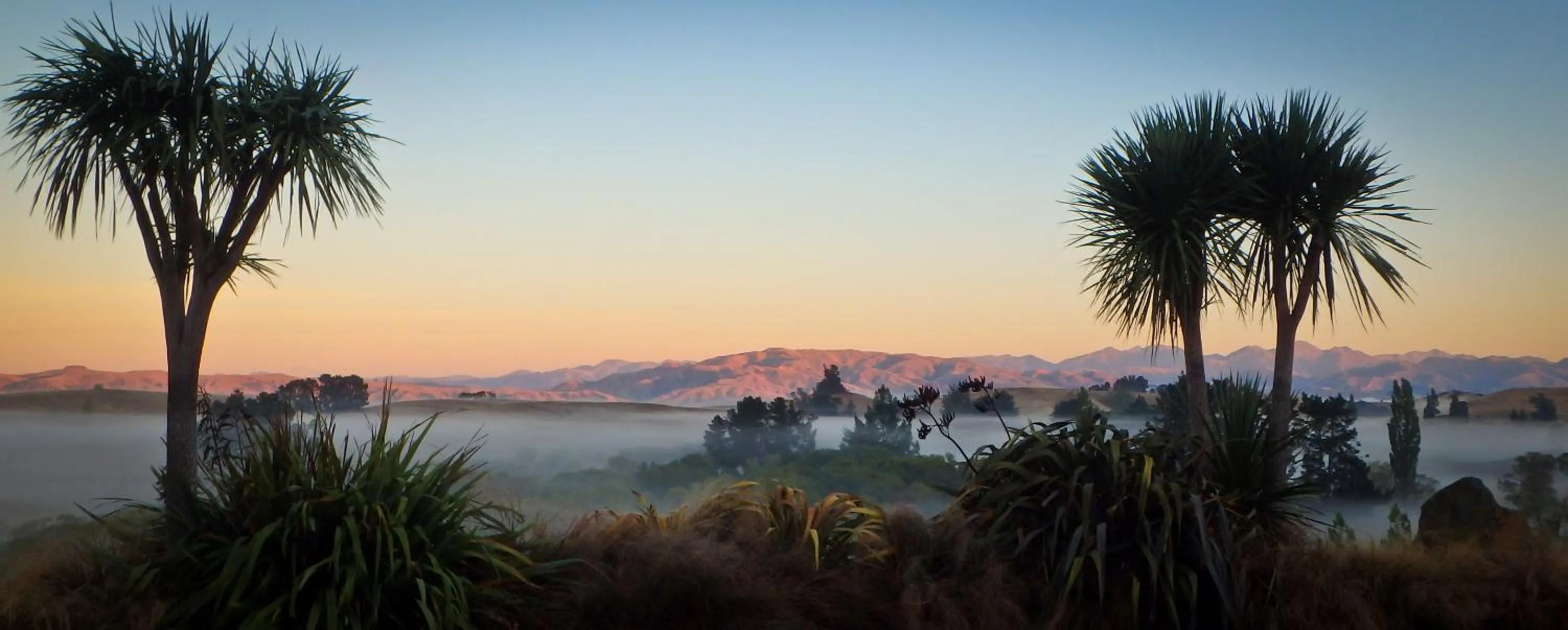 Garden view in Tree House Lodge Bed & Breakfast